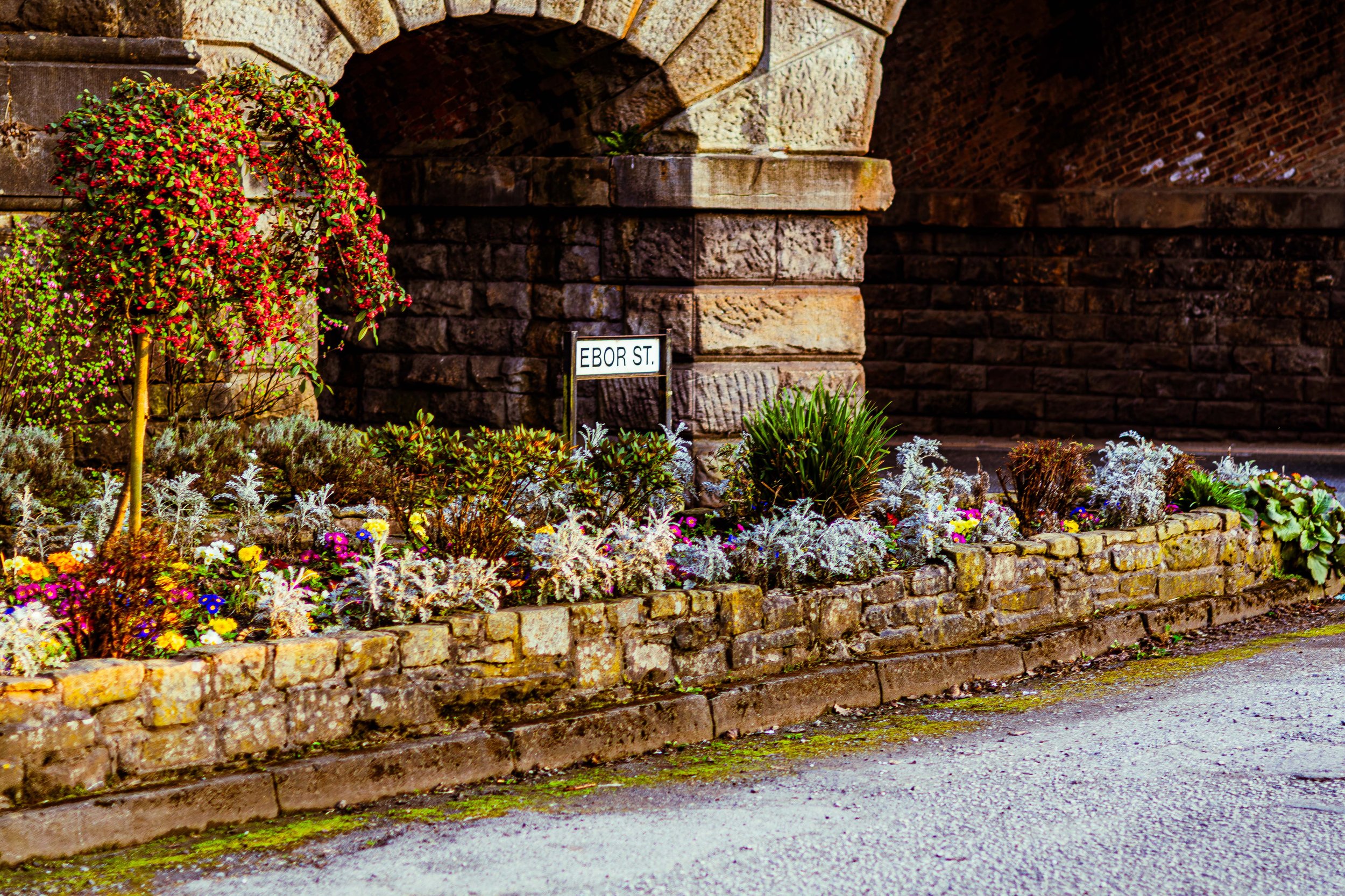 Spring in Littleborough - Elisha Harris, WorldHere 21.03.2026 (2 of 21).jpg
