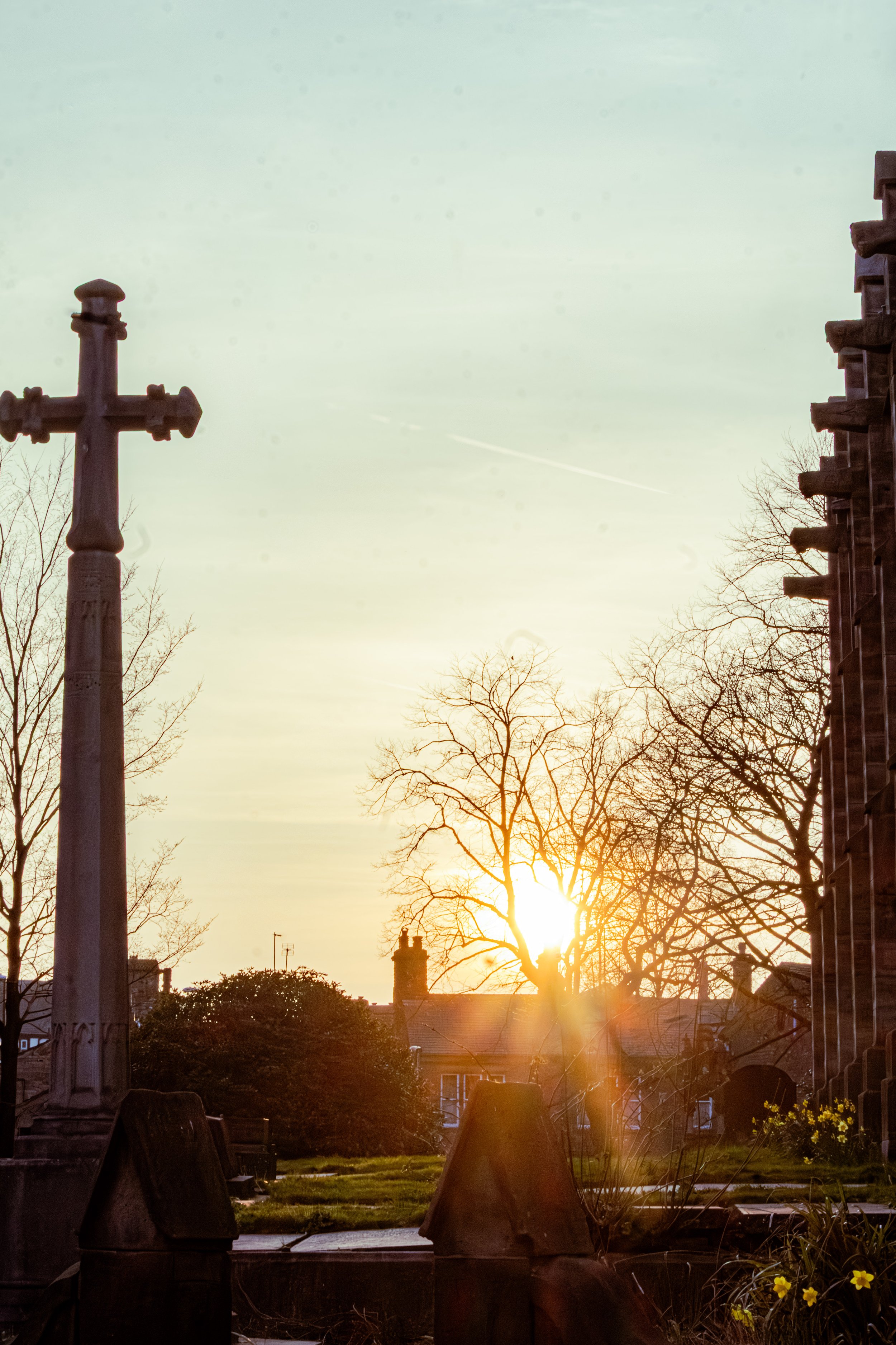 Spring in Littleborough - Elisha Harris, WorldHere 21.03.2026 (5 of 33).jpg