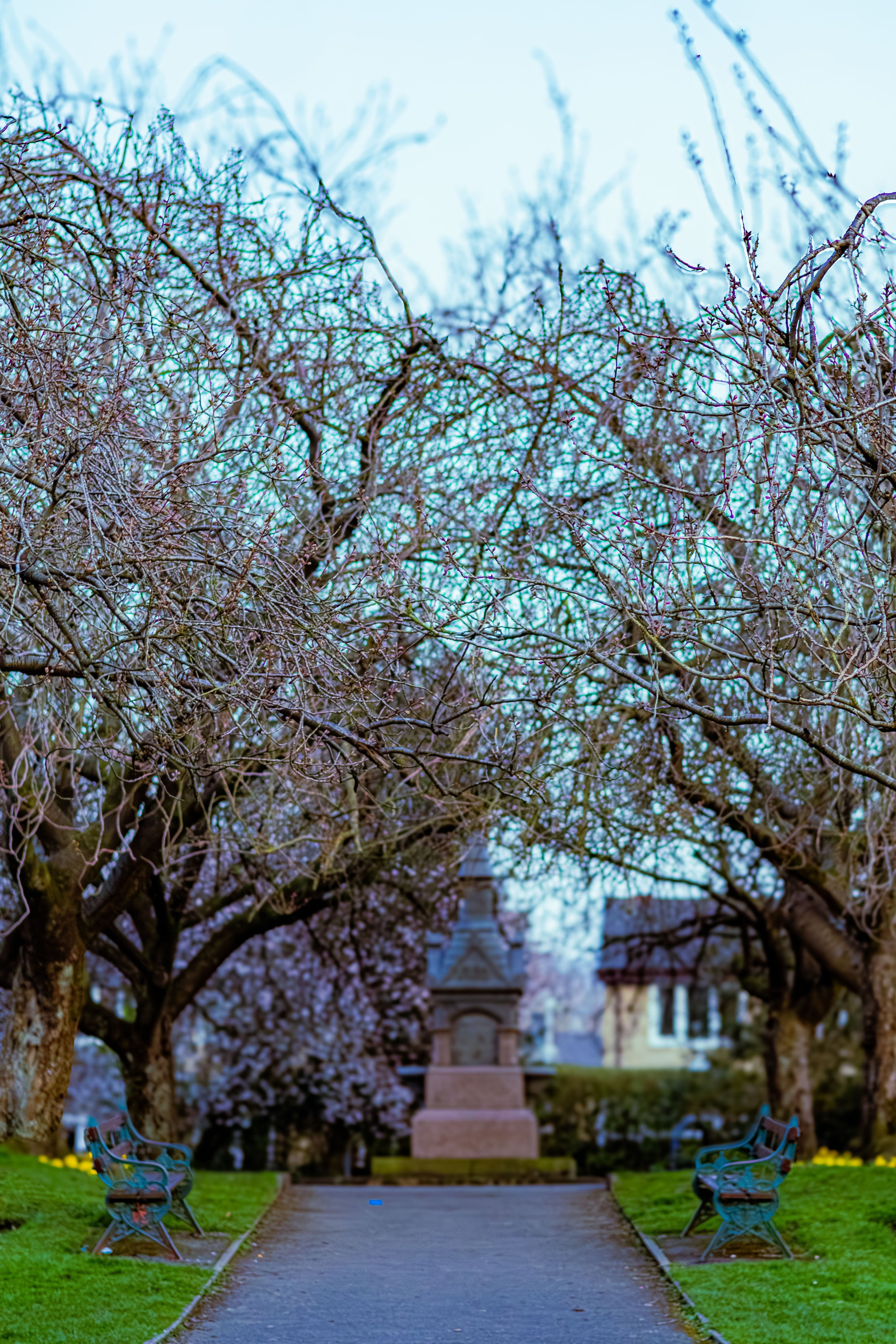 Spring in Littleborough - Elisha Harris, WorldHere 21.03.2026 (11 of 33).jpg