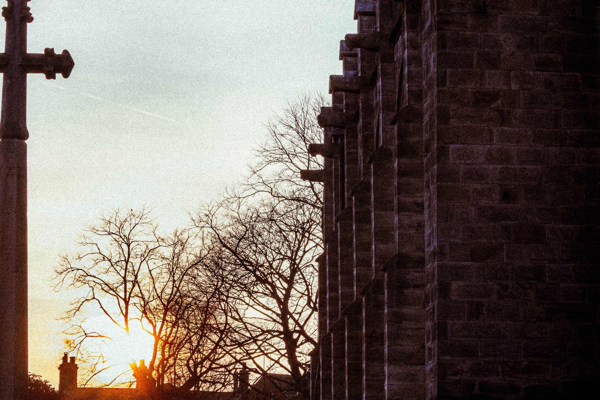 Spring in Littleborough - Elisha Harris, WorldHere 21.03.2026 (6 of 21).jpg