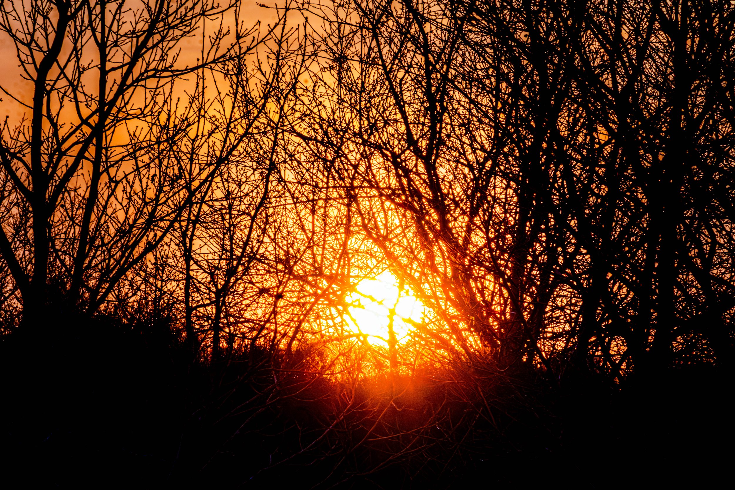 Spring in Littleborough - Elisha Harris, WorldHere 21.03.2026 (9 of 21).jpg