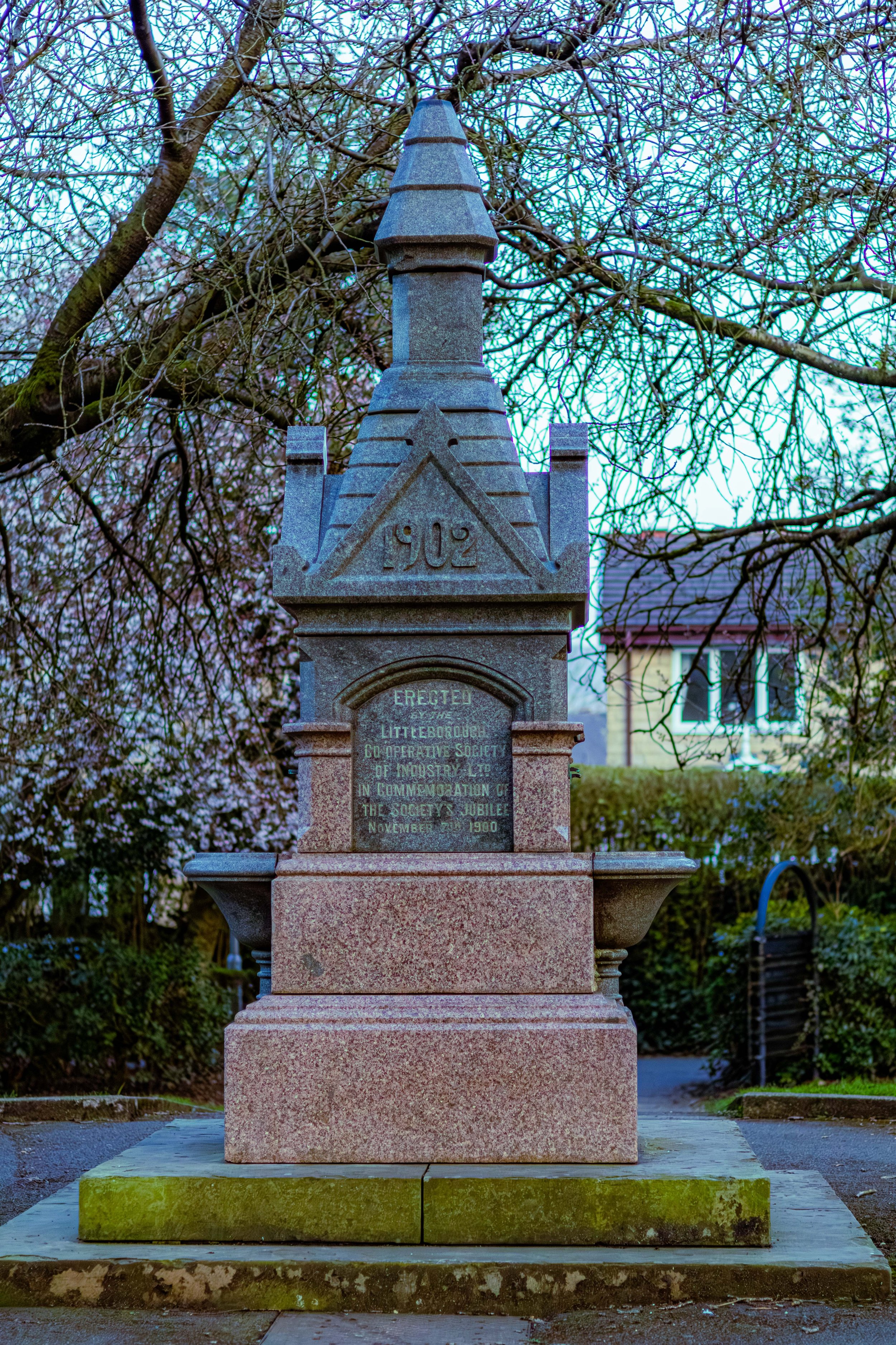 Spring in Littleborough - Elisha Harris, WorldHere 21.03.2026 (15 of 33).jpg