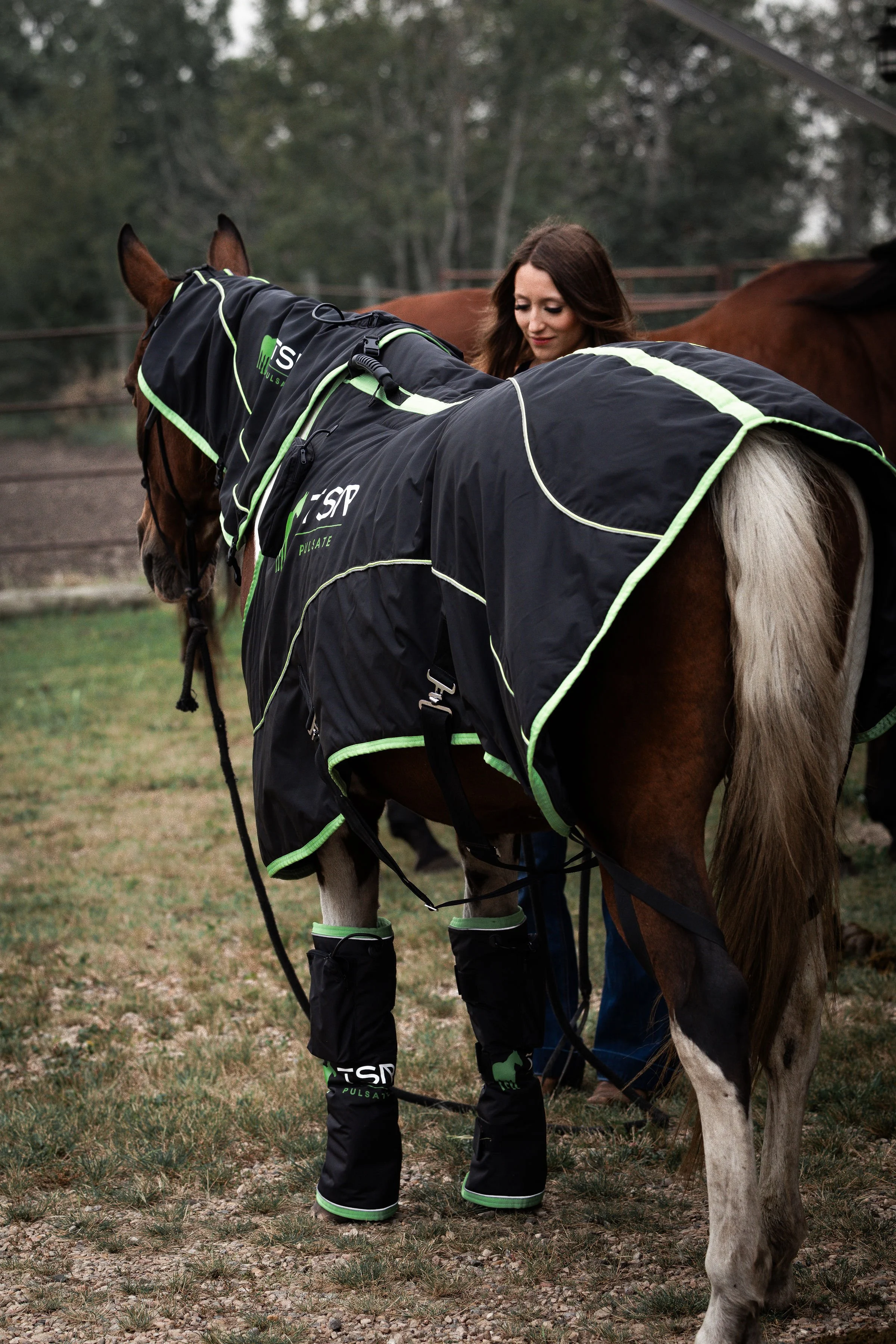 Full Body Coverage - Blanket, Neck/Poll, Leg Pieces Combo — TSR Pulsate