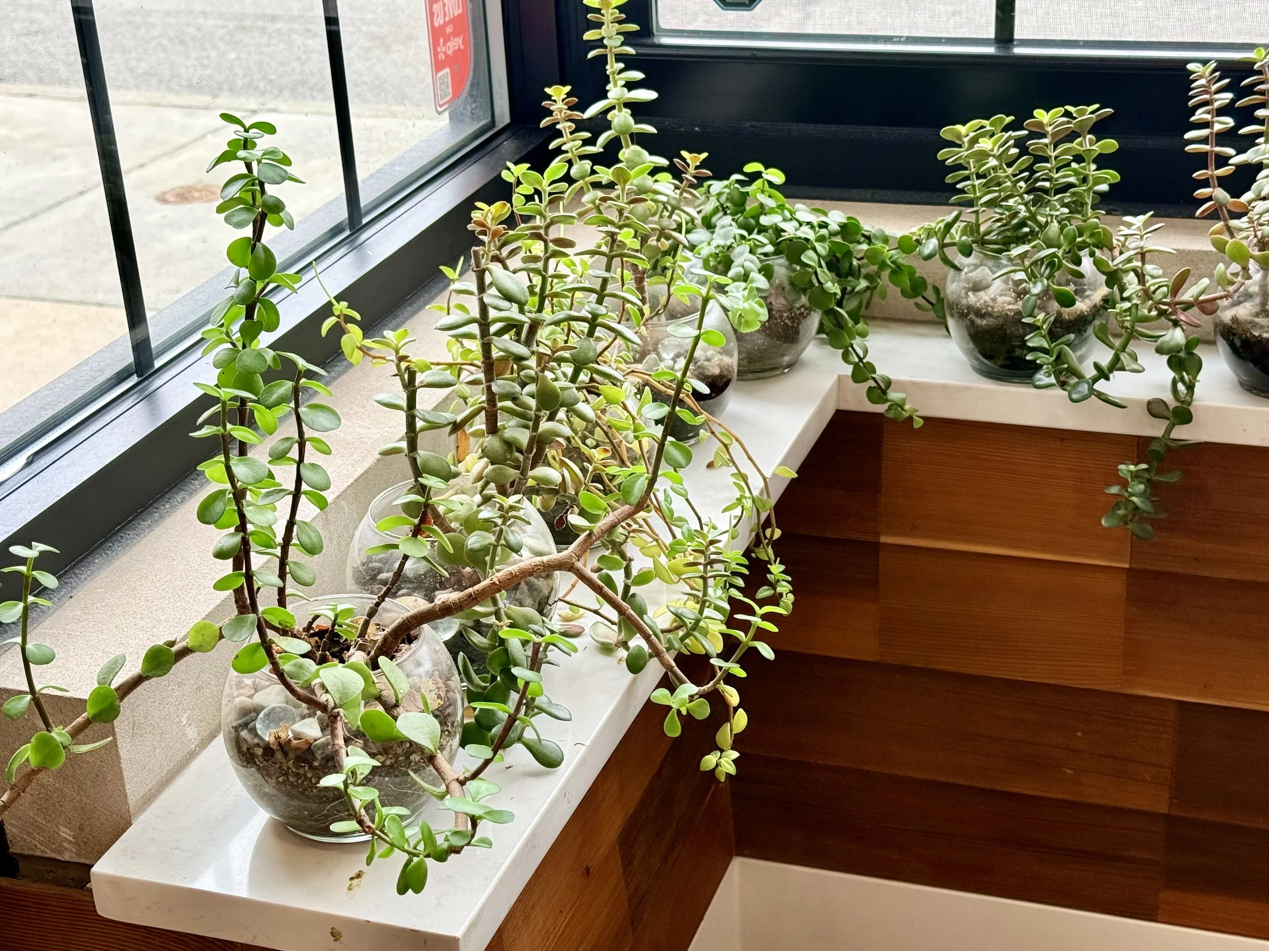 Environmental Health