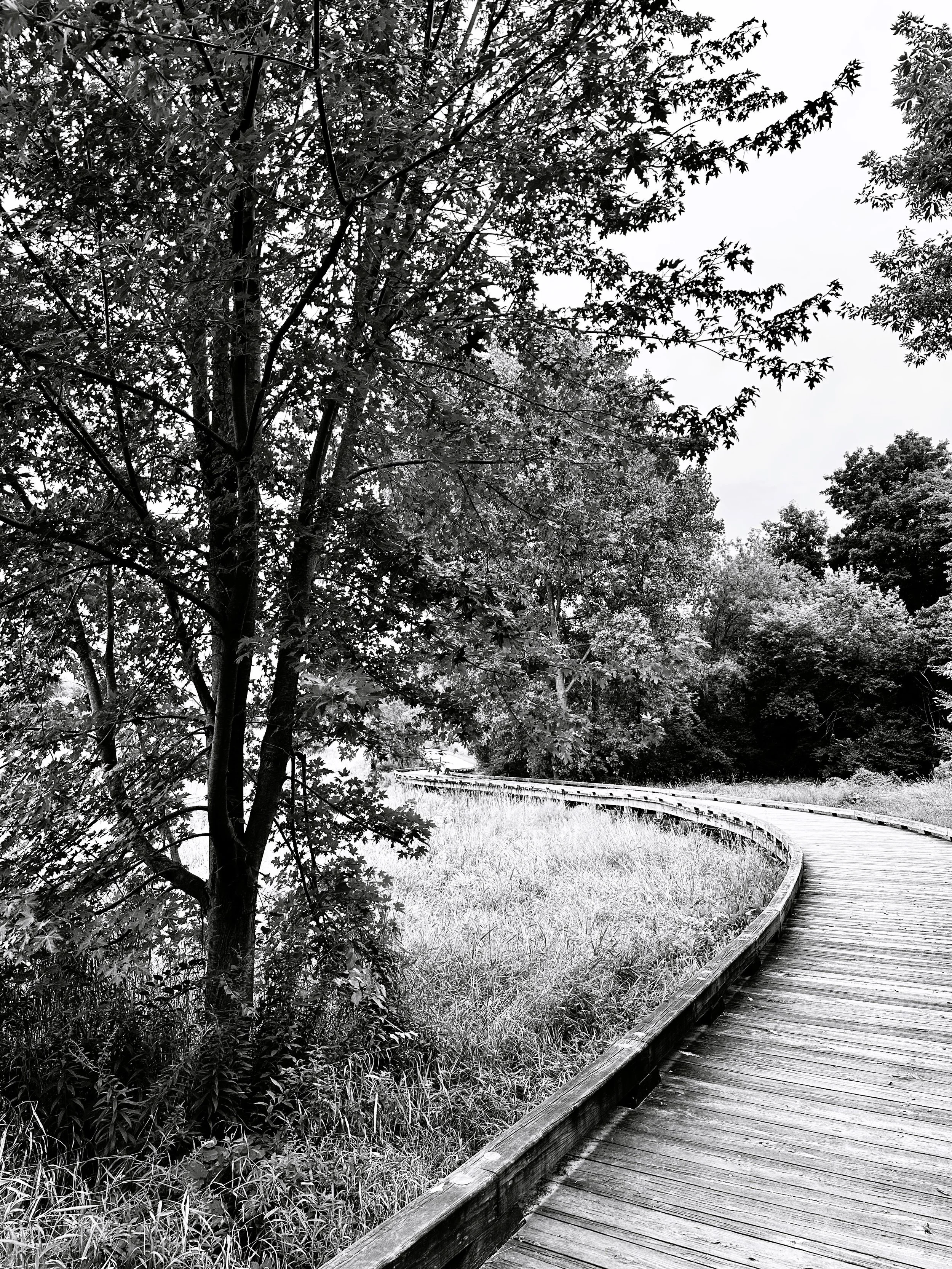 Dreamers Paradise.JPG