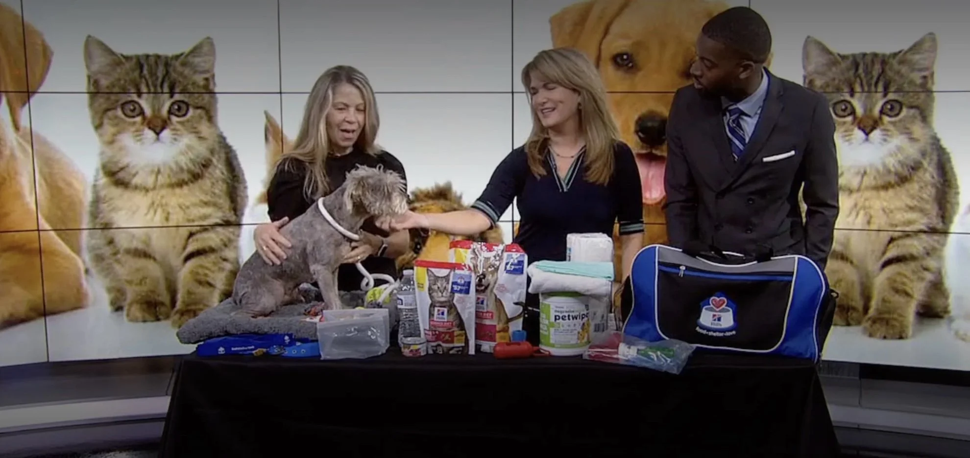 Hurricane season 2025: How to prepare your pets