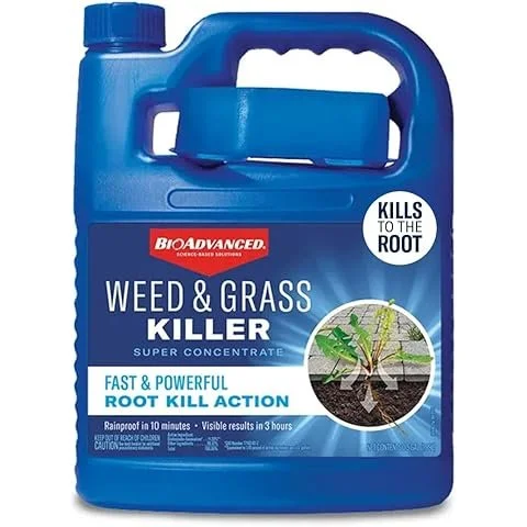 WhatsApp Image 2026-03-24 at 4.52.54 PM.jpeg