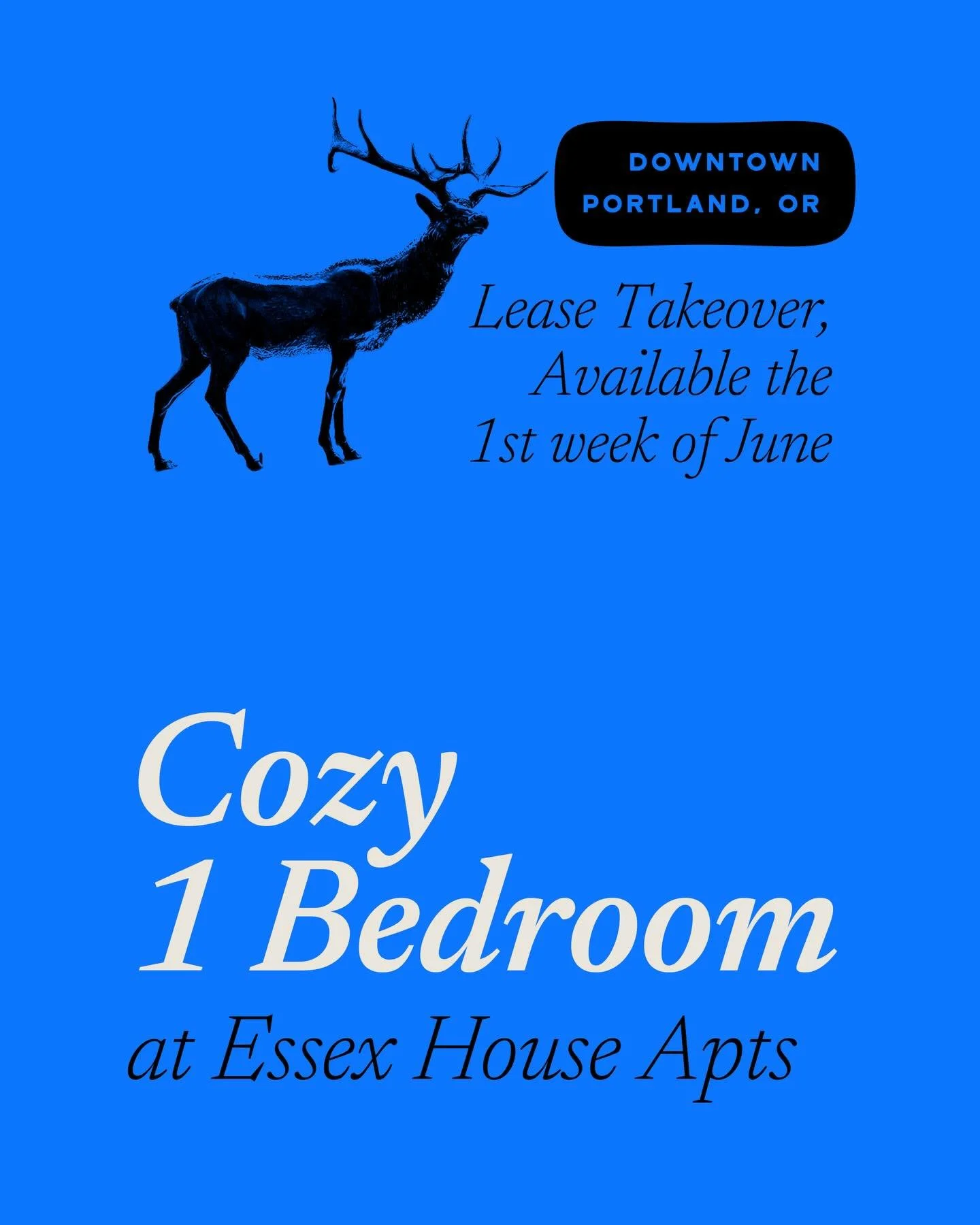 Furnished 1BR at Essex House &mdash; Lease Takeover, Available 1st week of June

Hello! I&rsquo;m looking for someone to take over my lease starting in June. The apartment comes unfurnished

The apartment:
- Top floor, 1 bed / 1 bath
- 647 sq ft
- SW