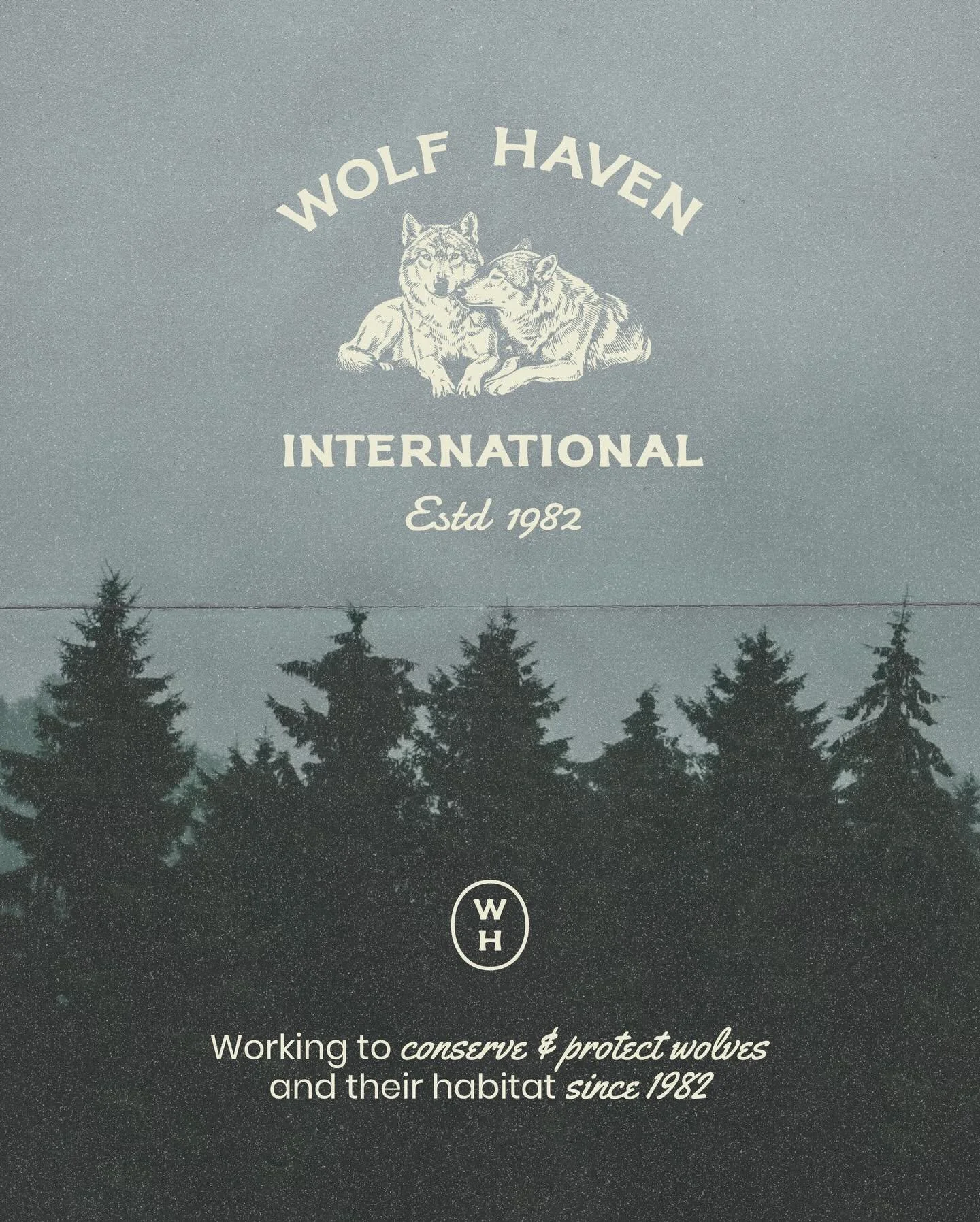 Wolf Haven International came to me needing a way to show up that matched the seriousness of the work they do, conserving and protecting wolves since 1982, without losing the warmth that makes people want to get involved.

The initial problem was coh