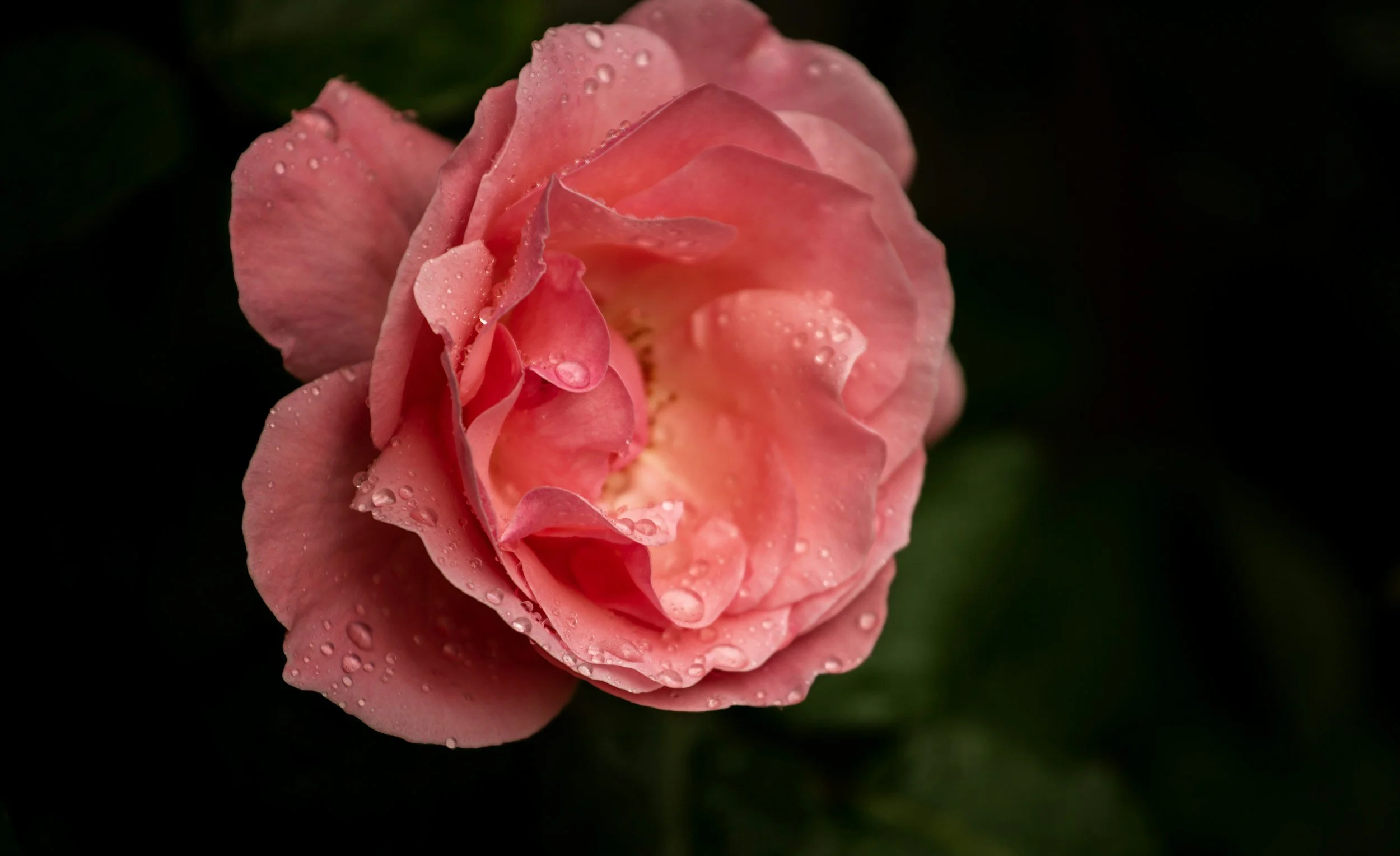 How to Increase Cervical Fluid if You Have PCOS