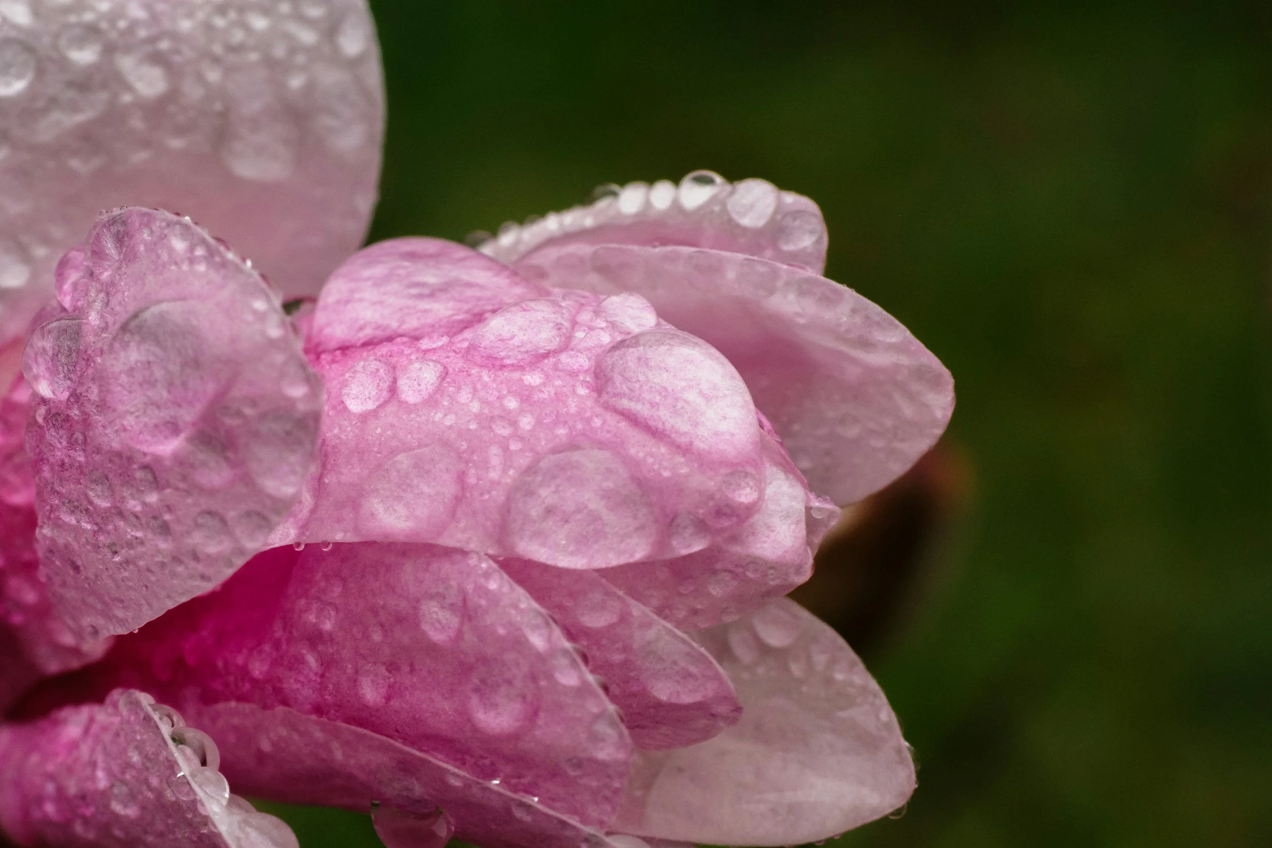 How to Increase Cervical Fluid with PCOS: Body Literacy Meets Science