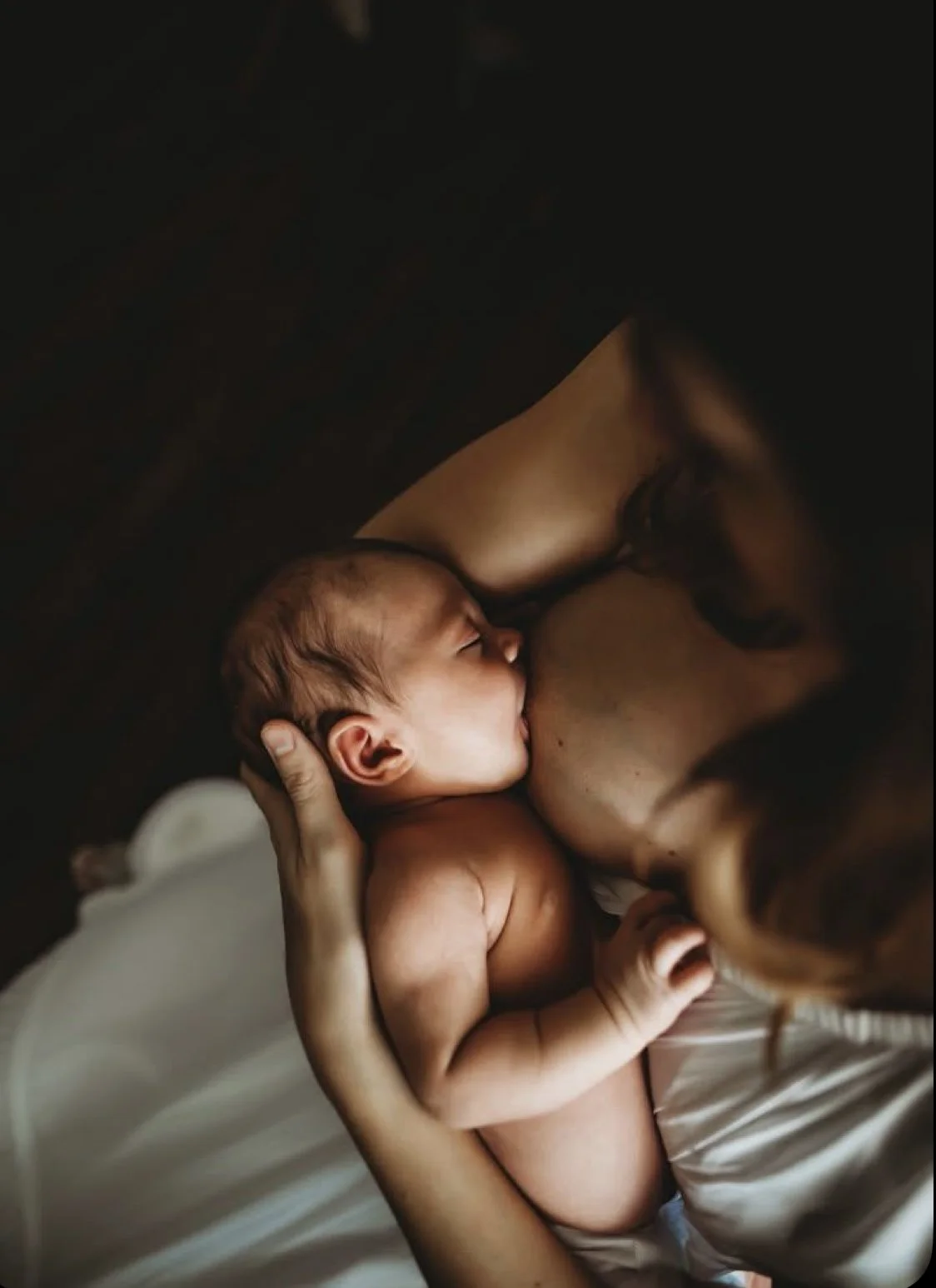 Finding Comfort, Confidence, and Connection: A Doula’s Perspective on the Perfect Fit Nipple Shield Kit by Le Lolo