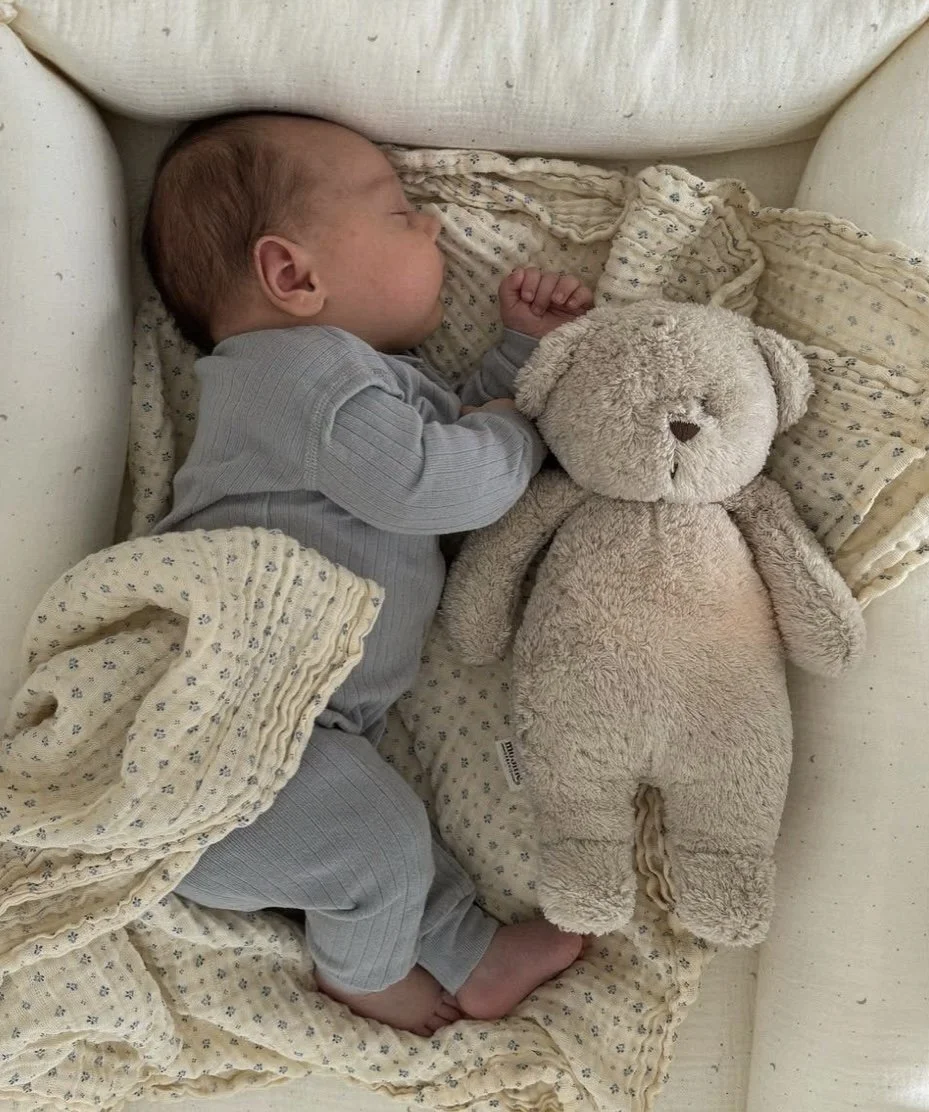 Postpartum Support Plan - 6 Weeks / 16 Hours Weekly