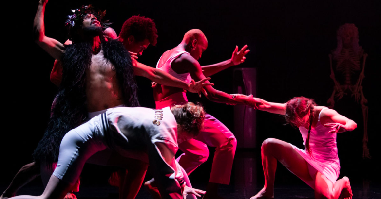 Ruination // Lost Dog Dance // Les Salins