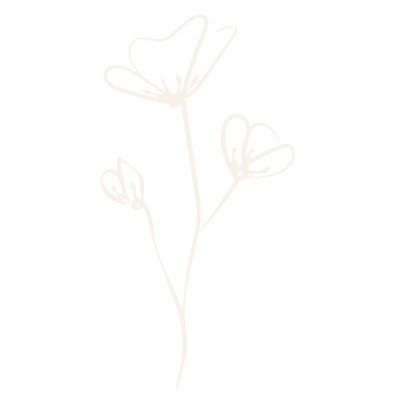 Outline of a flower with three blossoms drawn in white on a black background.