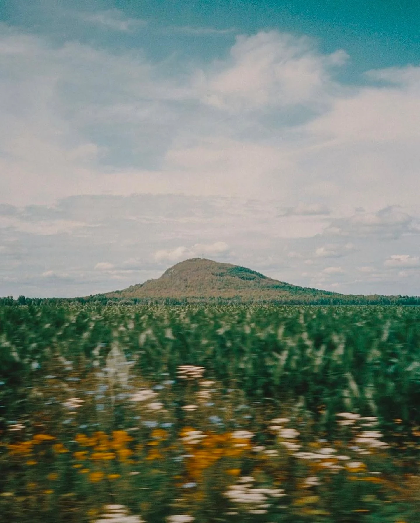 by @kevinbrunelle / #cassettefilmclub

📷 #nikonl35af
🎞️ @kodak #portra4000

#analog #analogue #analoguevibes #analogfilm #dreamermagazine #magazine #kodak #contemporaryart #feelslikefilm #film #analoguephotography #filmlook #contemporaryphotography