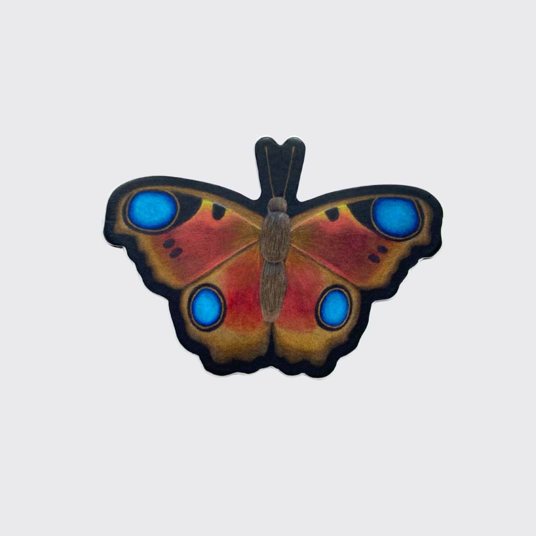 AMT+Social+%2818%29.png