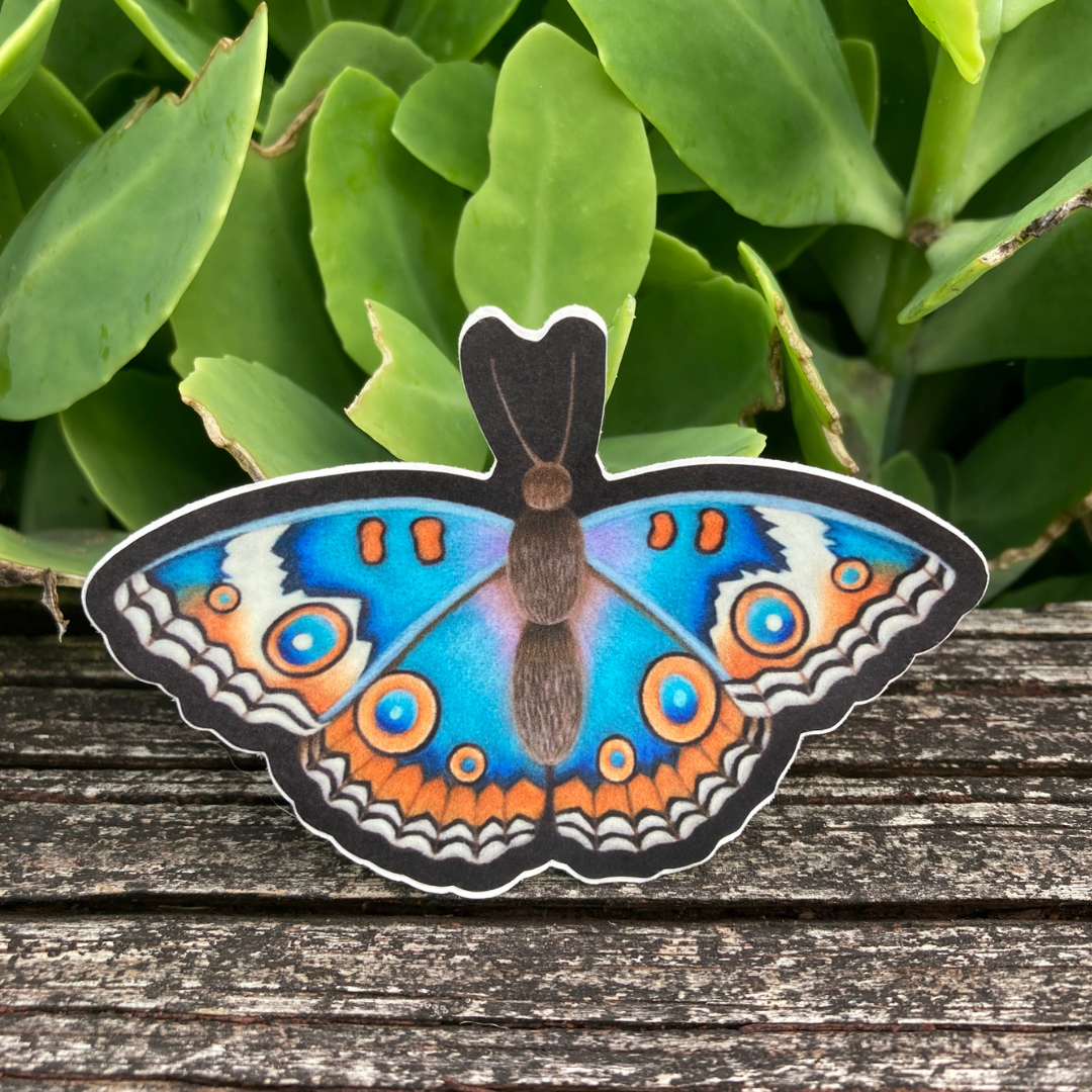 Teal Moth