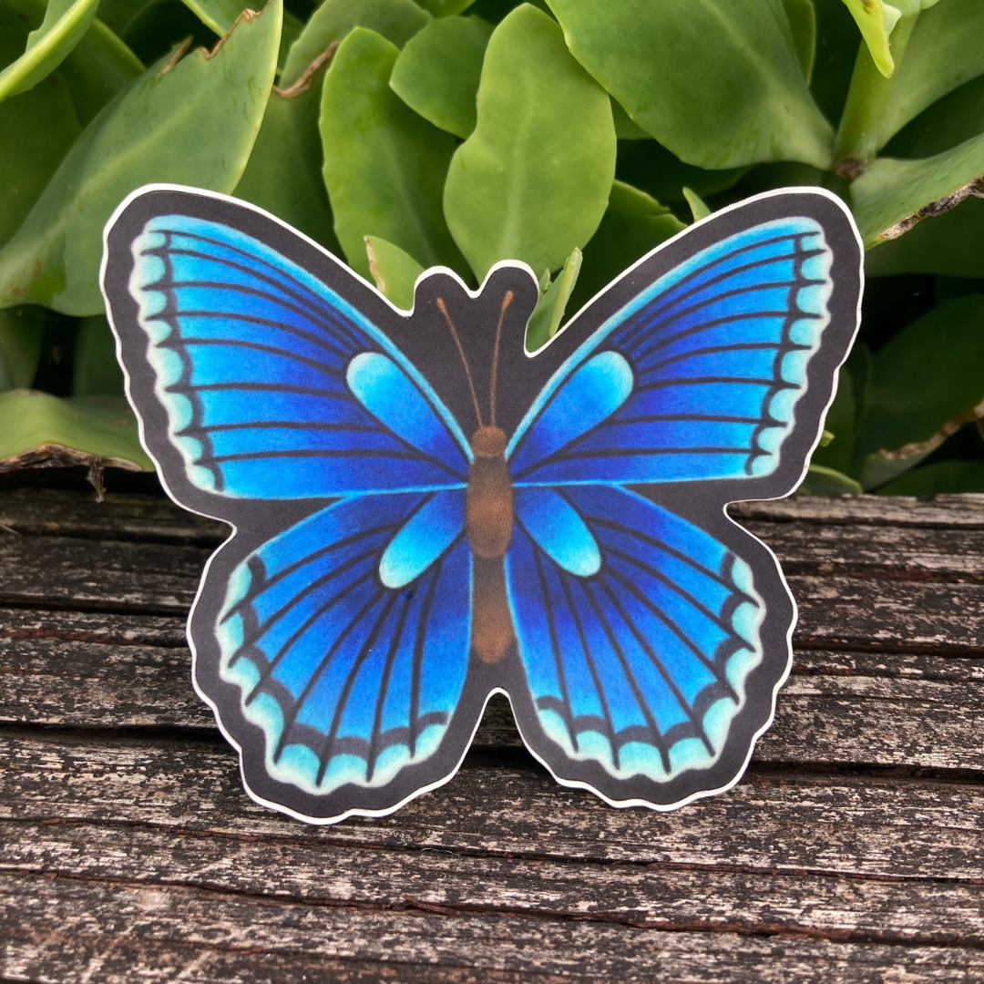 Blue Butterfly Sticker
