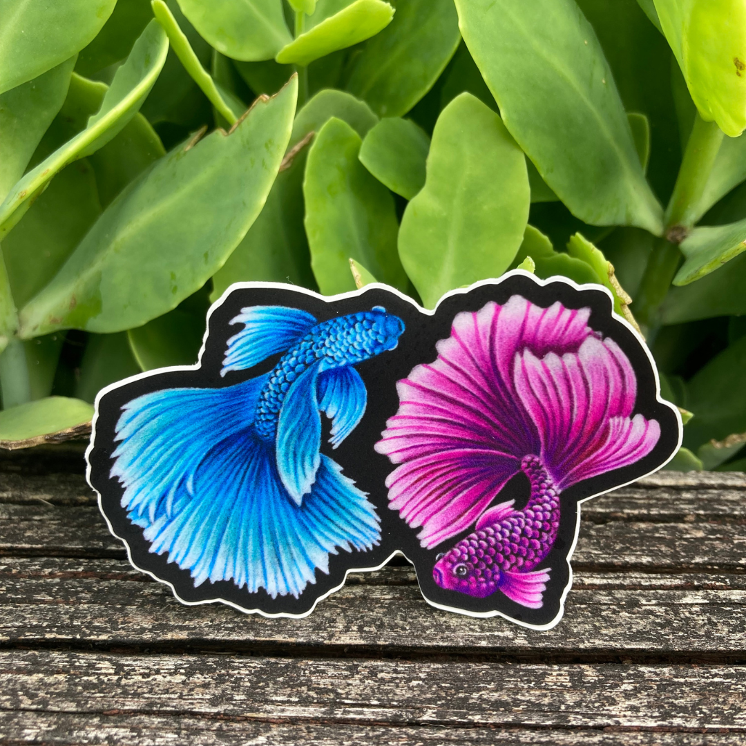 Beta Fish Sticker