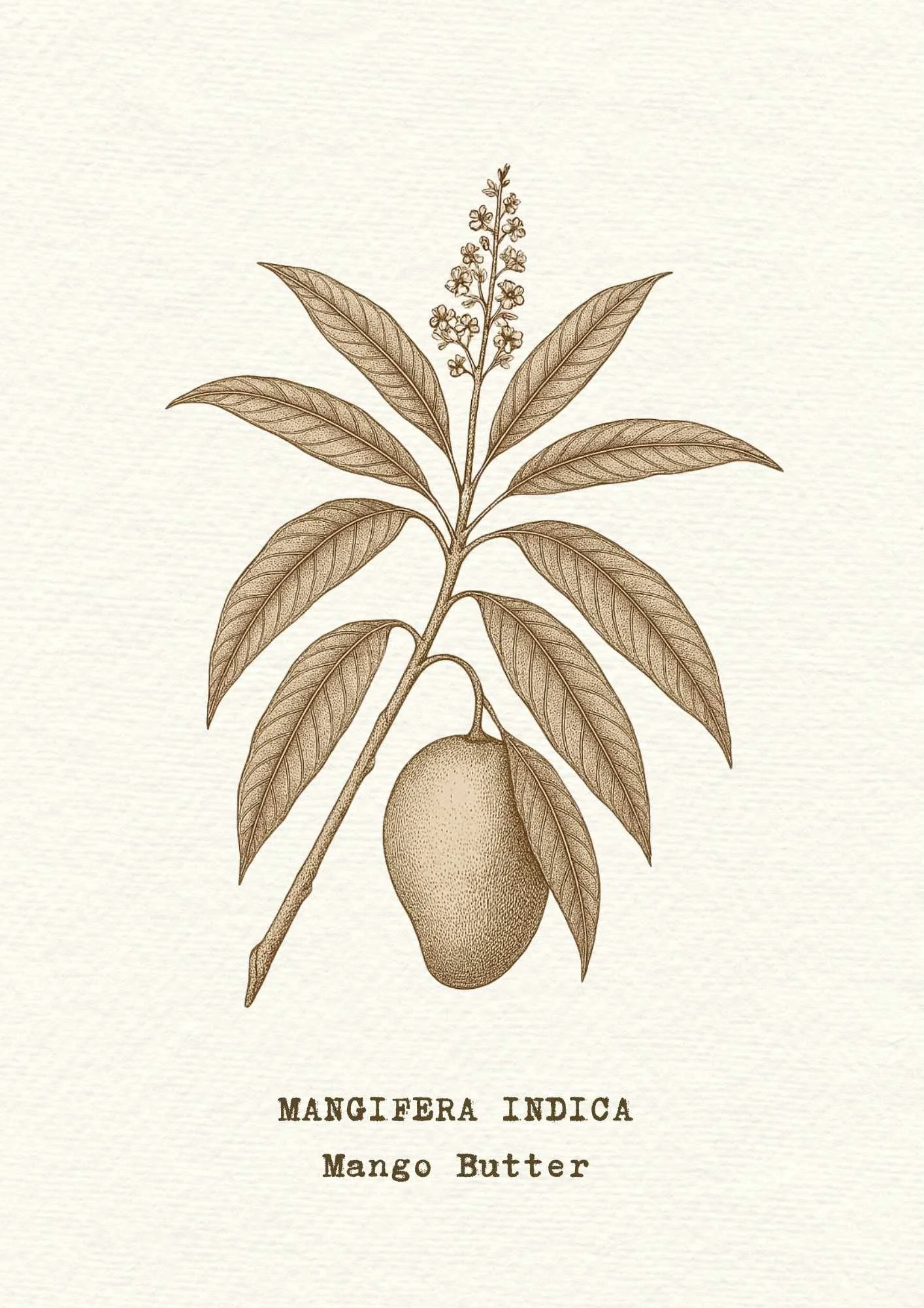 mangobutter.jpg
