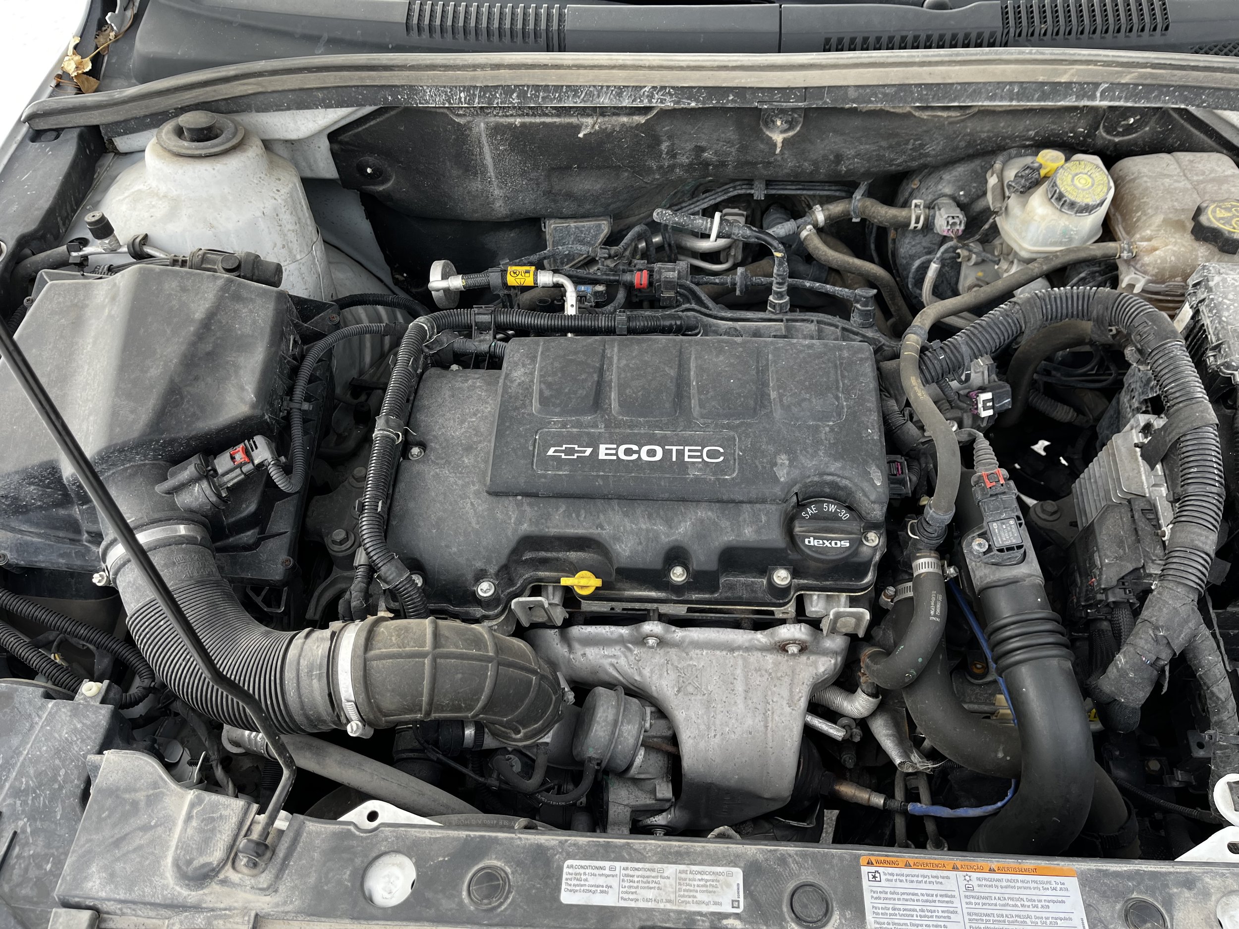 E80B1363-0A09-4C28-835B-4CCE00269C3C.jpeg