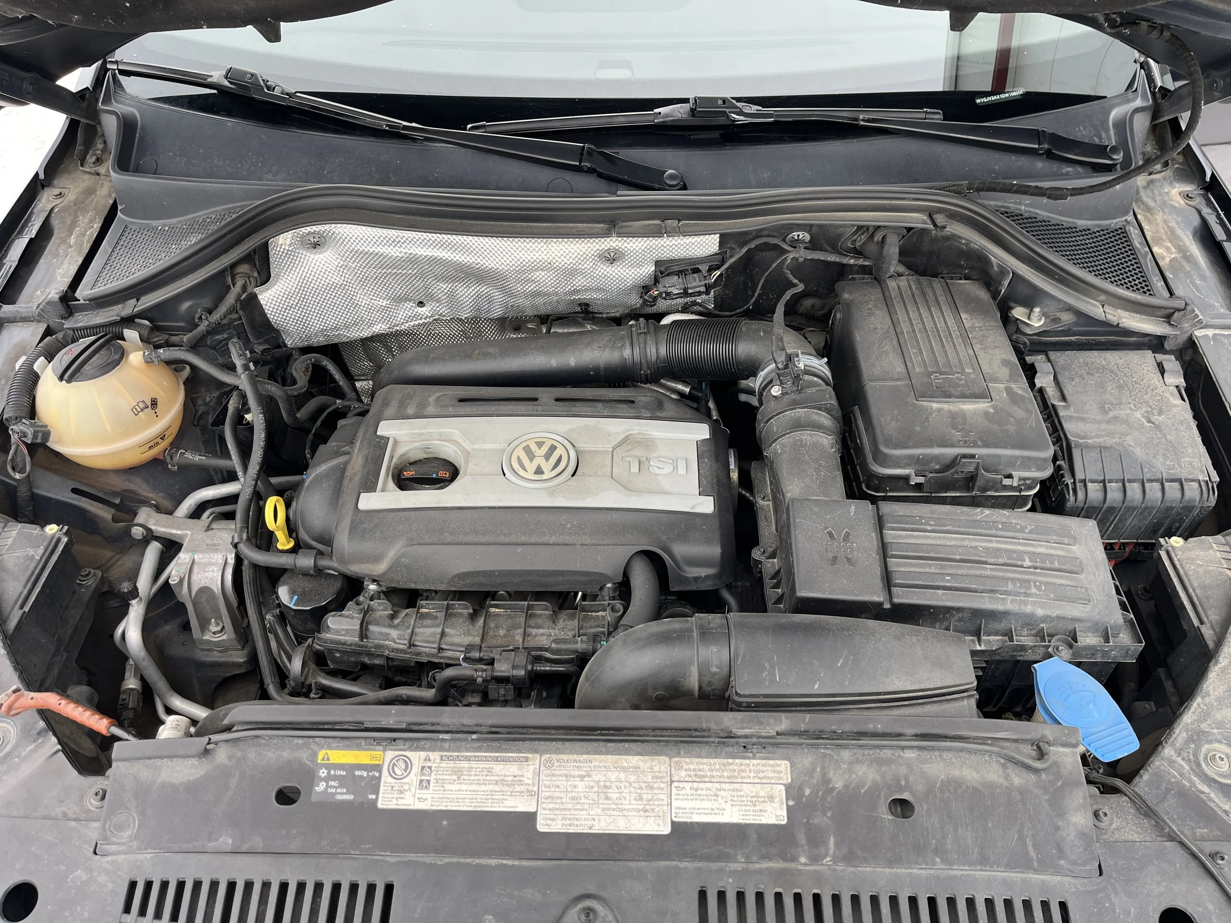 Photo 2026-02-04, 2 54 36 PM.jpg