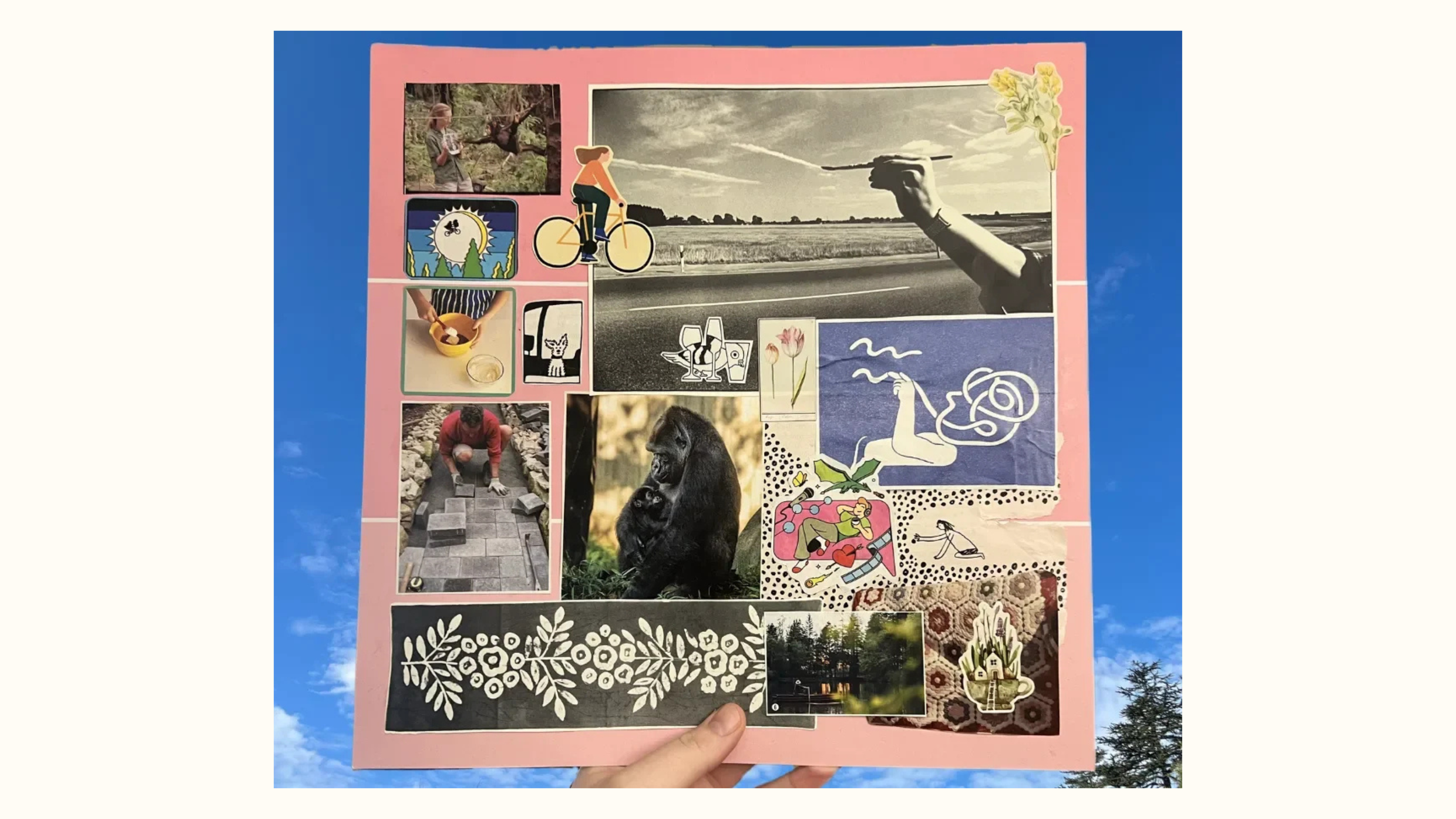 hibernation → horse mode 🐎