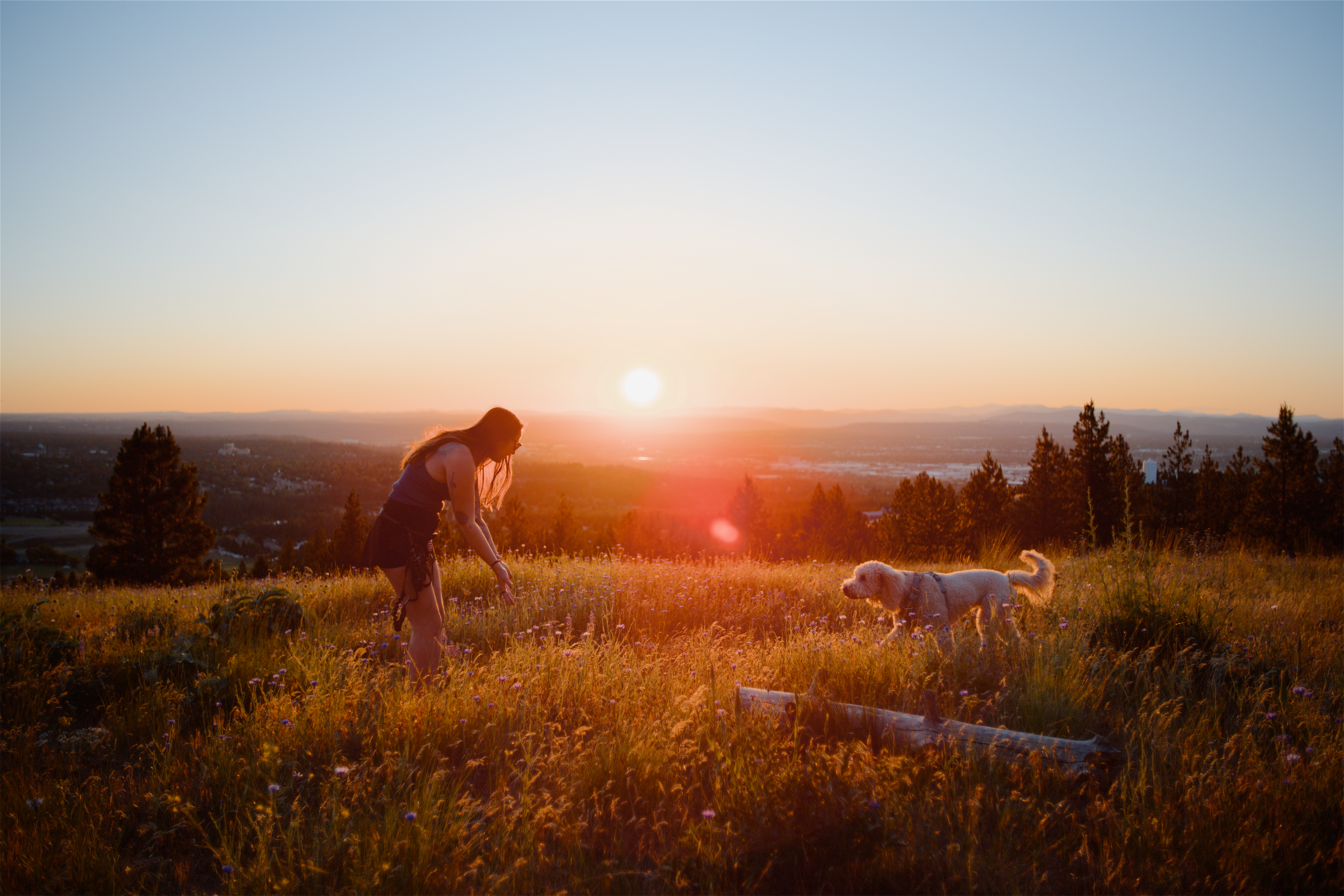 2026-06-12_Glenn-Rose_Hike - 01.webp