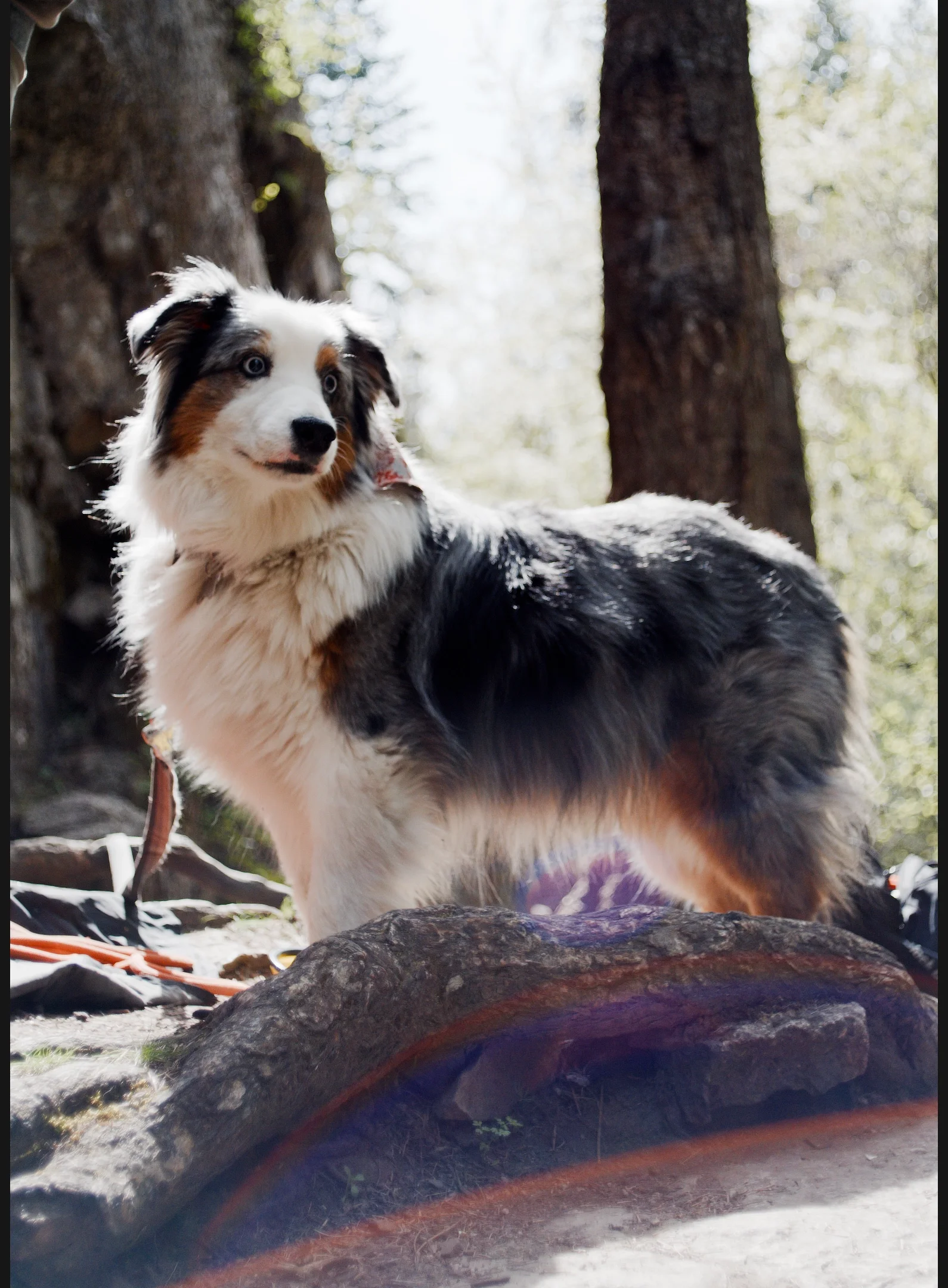 2025-04-26_Post-Falls_Climbing - 01_T.webp