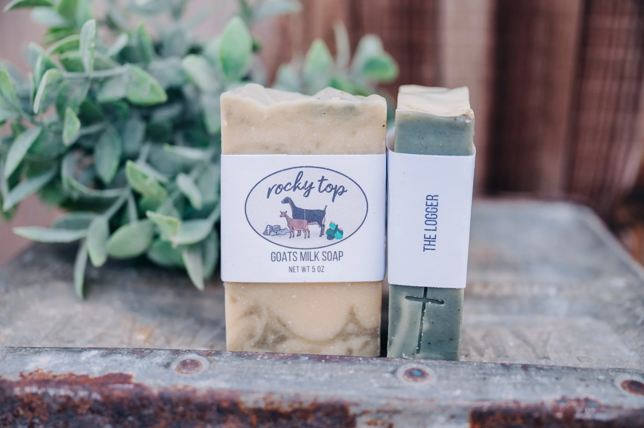 The Logger Soap