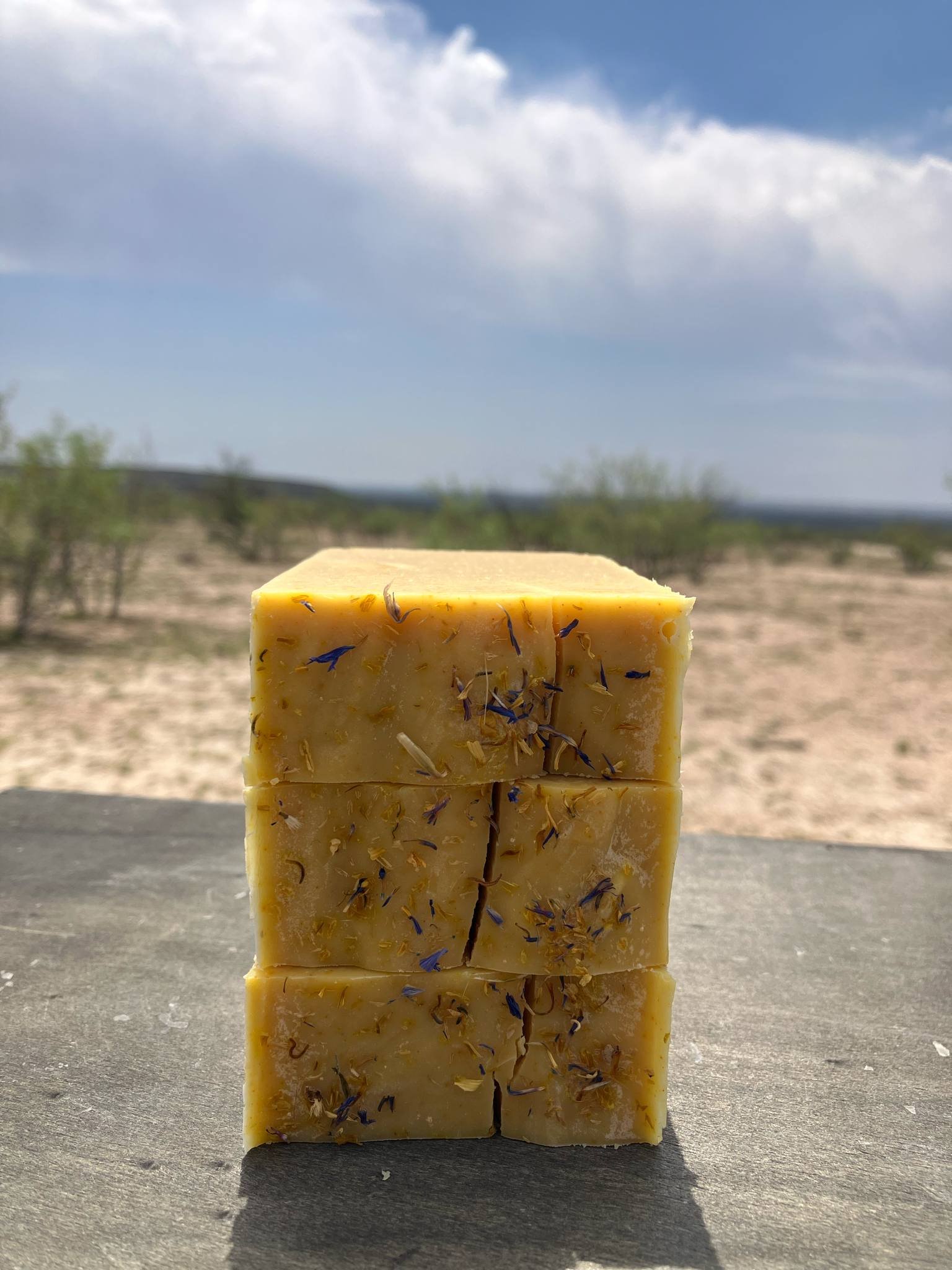 Dandelion Love Soap (Seasonal)