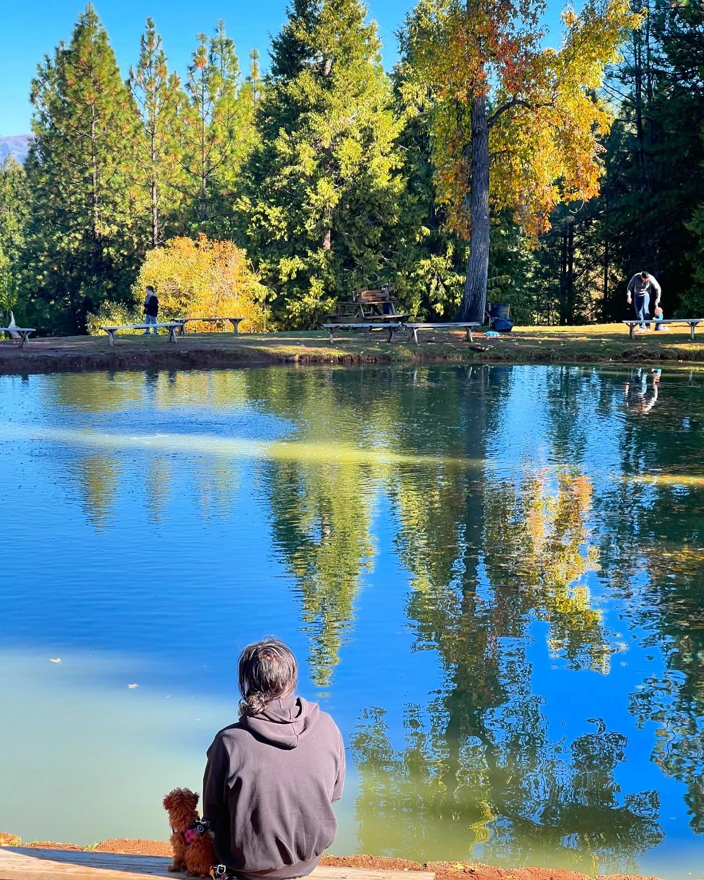 🍁🍂🌲🍂🍁
.
#freebirdsgroomroom #farfulisfearless #applehill #thankful #love