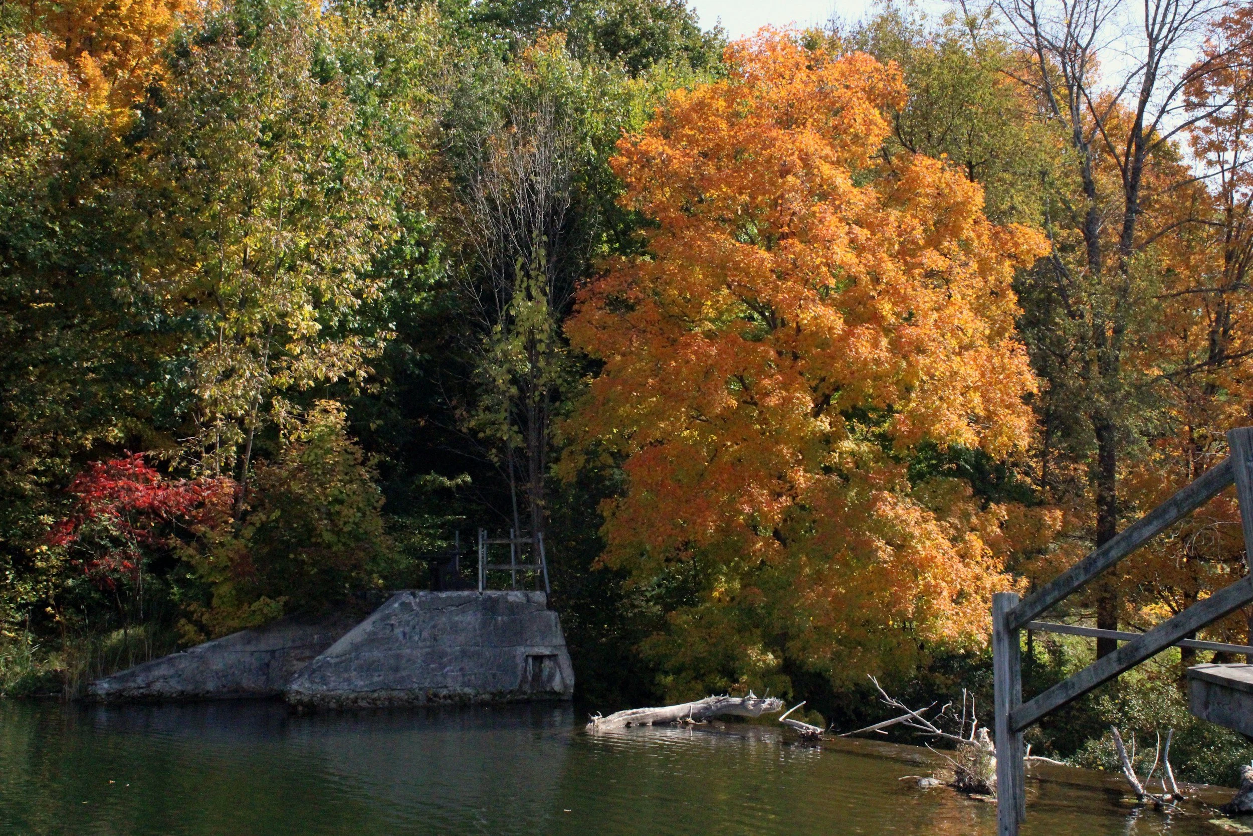 Autumn scene with colorful fall trees by a lake, with leaves in shades of orange, yellow, and green, and a wooden railing on the right side.