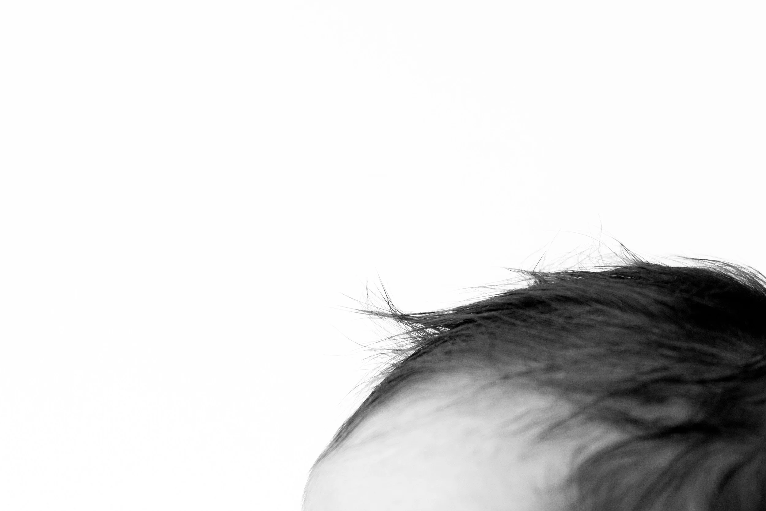 Close-up of a newborn's hair with a plain white background.