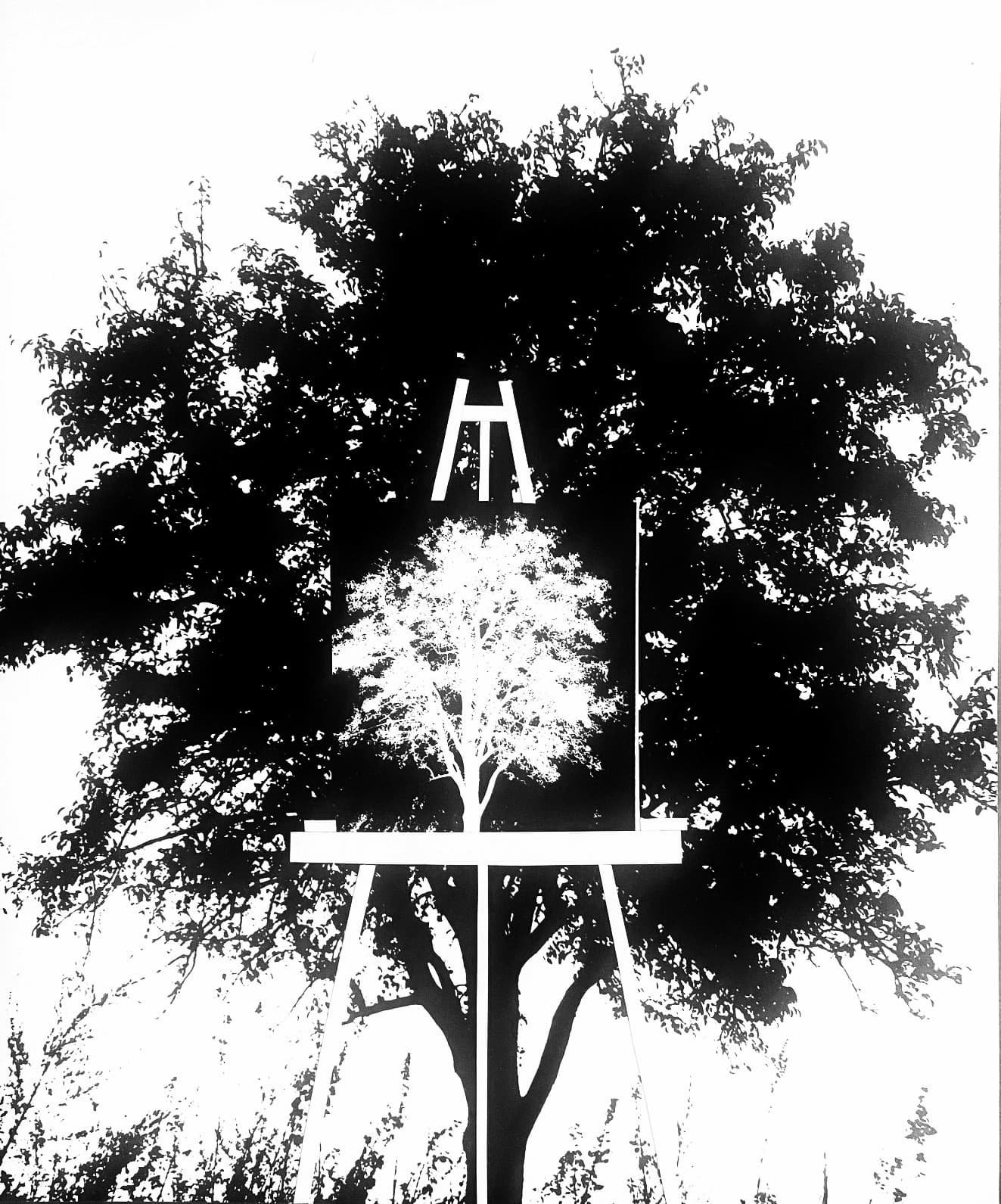 HOMMAGE A MAGRITTE, Photo Collage, Photographic Paper, 51x64cn