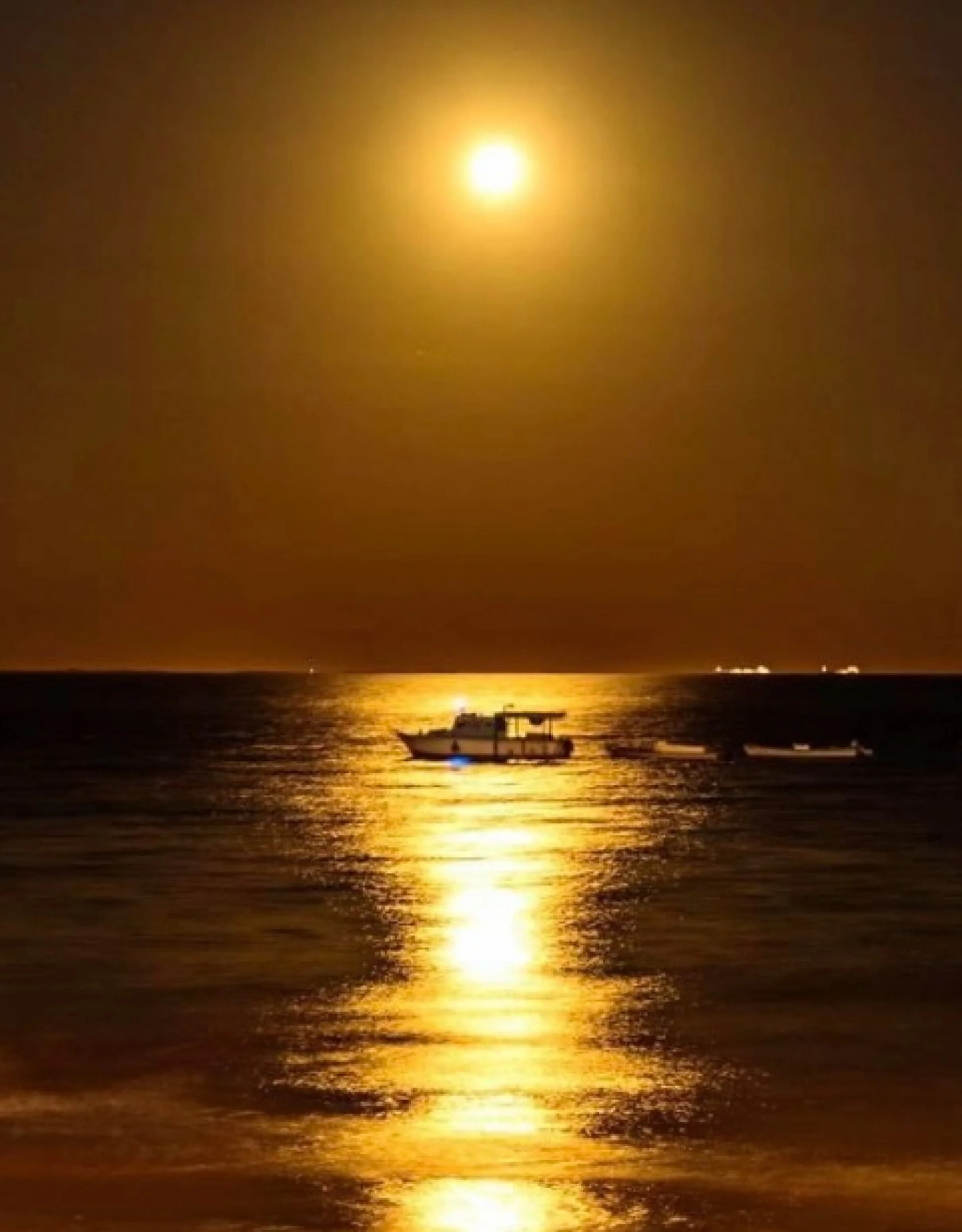 GOLDEN SEA, Photograph