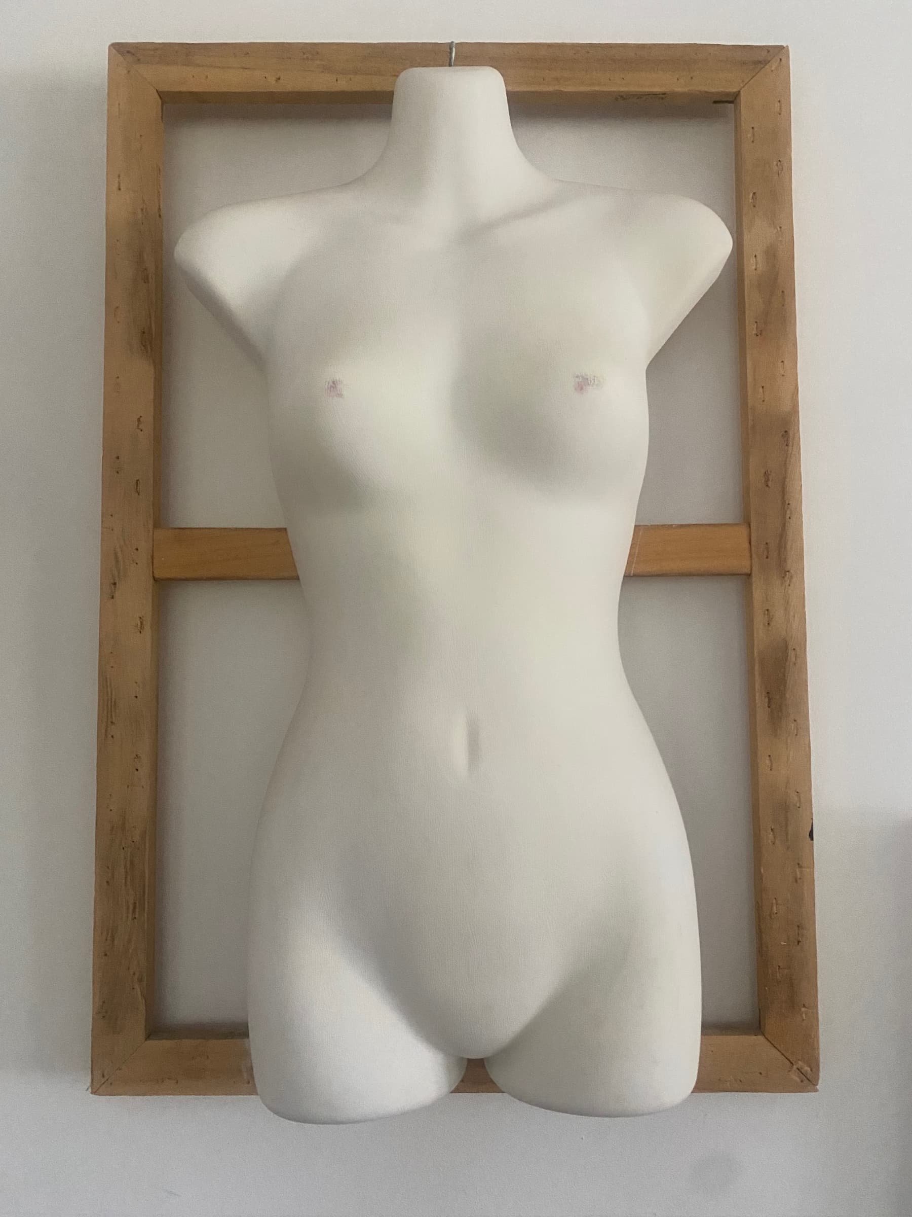 MANNEQUIN IN FRAME, Mixed Media, Plastic, Timber, 76x51cm