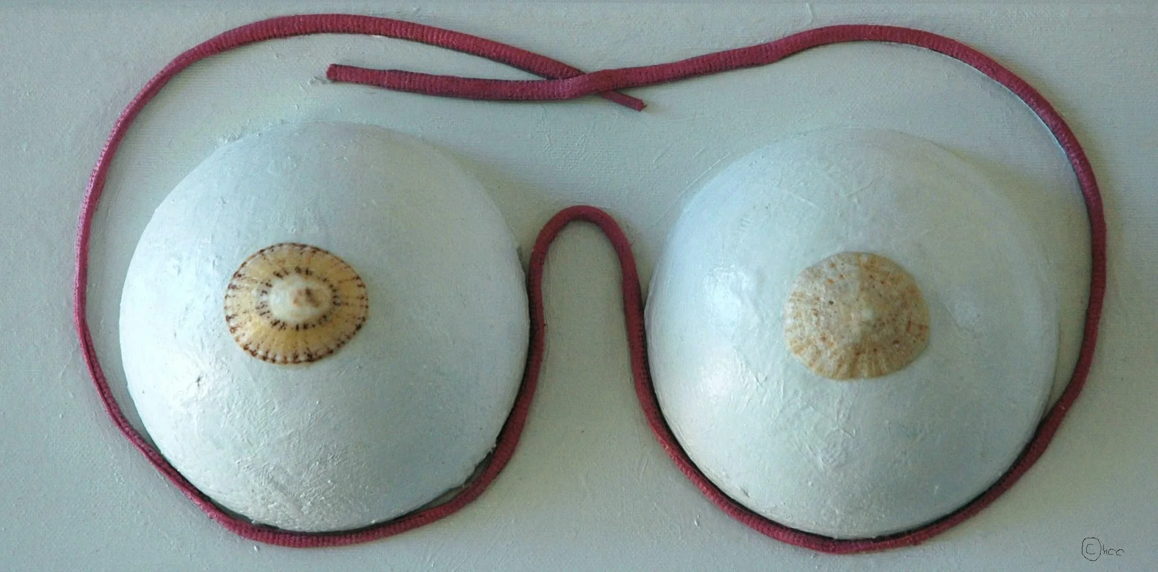  ANATOMY, Mixed Media, Polystyrene, Shells, String on Canvas, 40x20cm