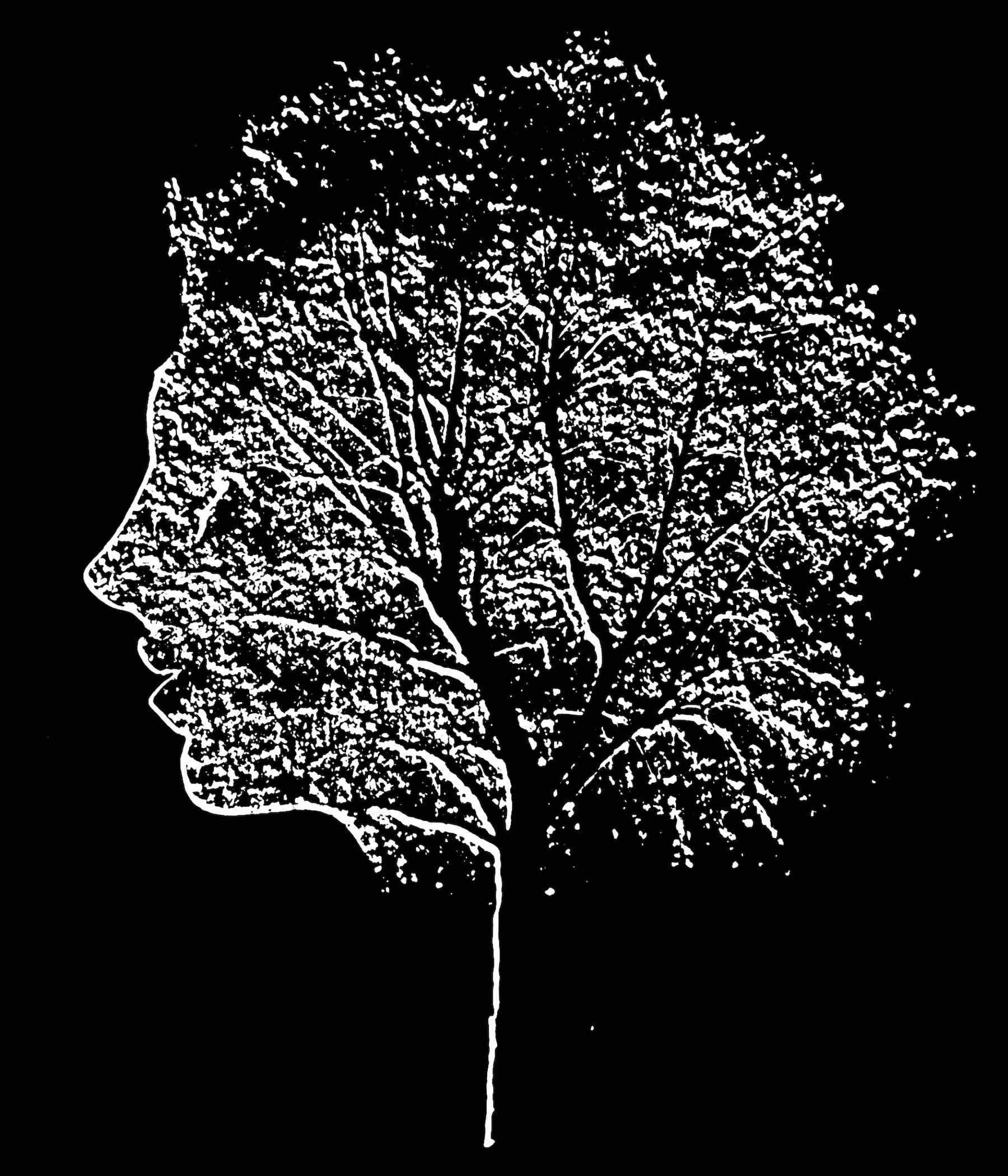 METAMORPHOSIS, 6/12 Series, Photo Montage, Photographic Paper, 43x34cm, framed