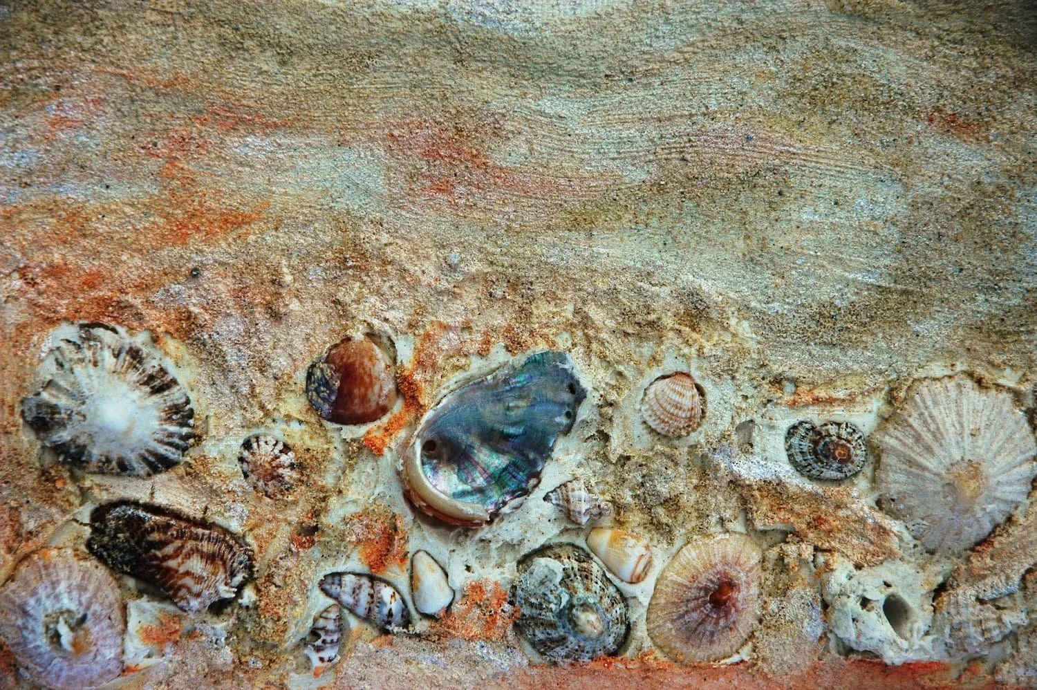 SEA COLLAGE, Detail, Mixed Media, Shells, Sand, Acrylic on Canvas, 50x20cm
