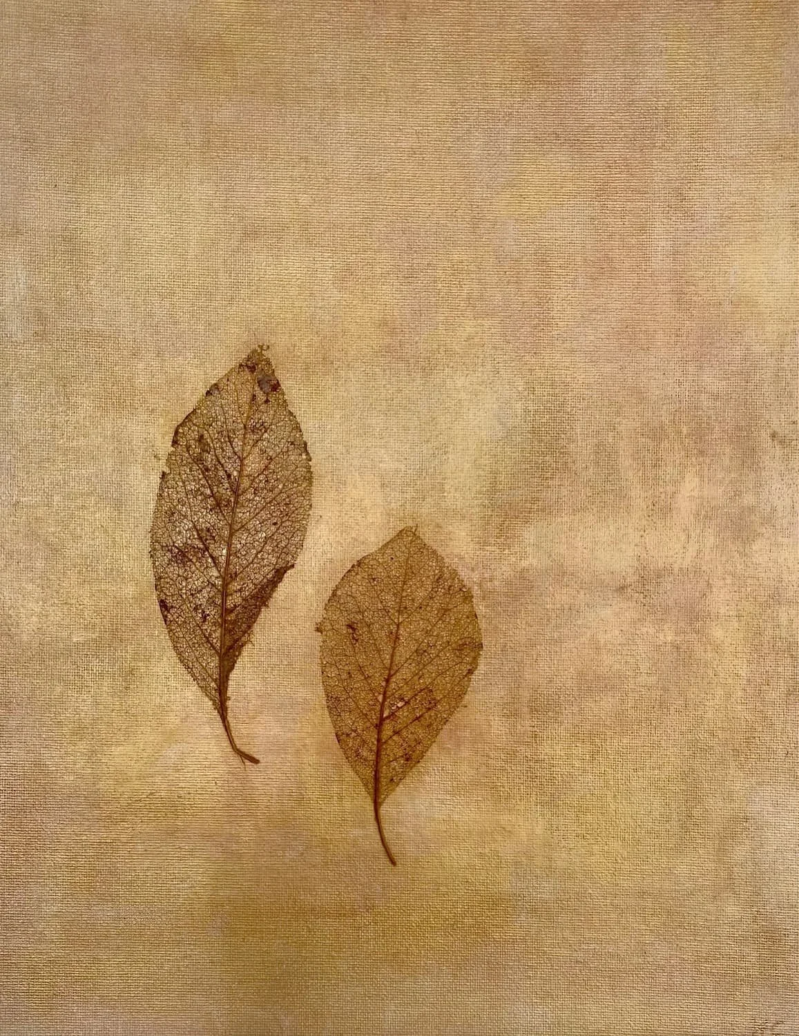 FOREST, Mixed Media, Leaves, Gold Pigments on Canvas, 30x40.5cm