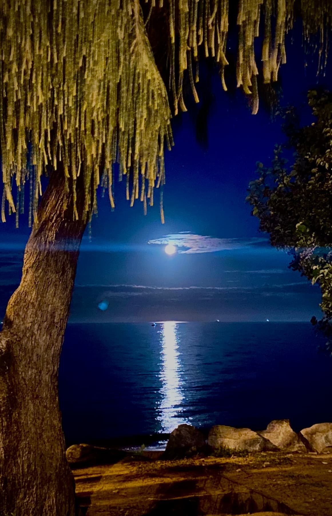 BLUE MOON, Photograph