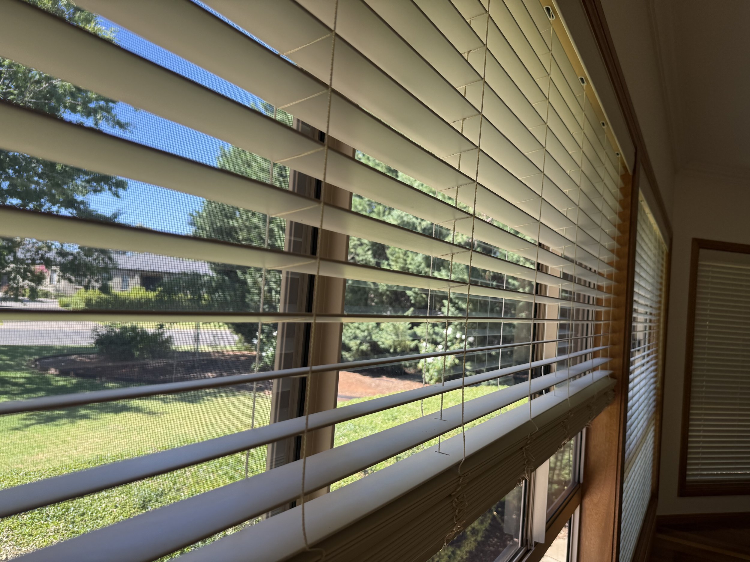 Affordable Venetian Blinds Griffith