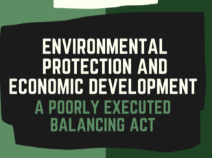 Environmental Protection and Economic Development: A Poorly Executed Balancing Act