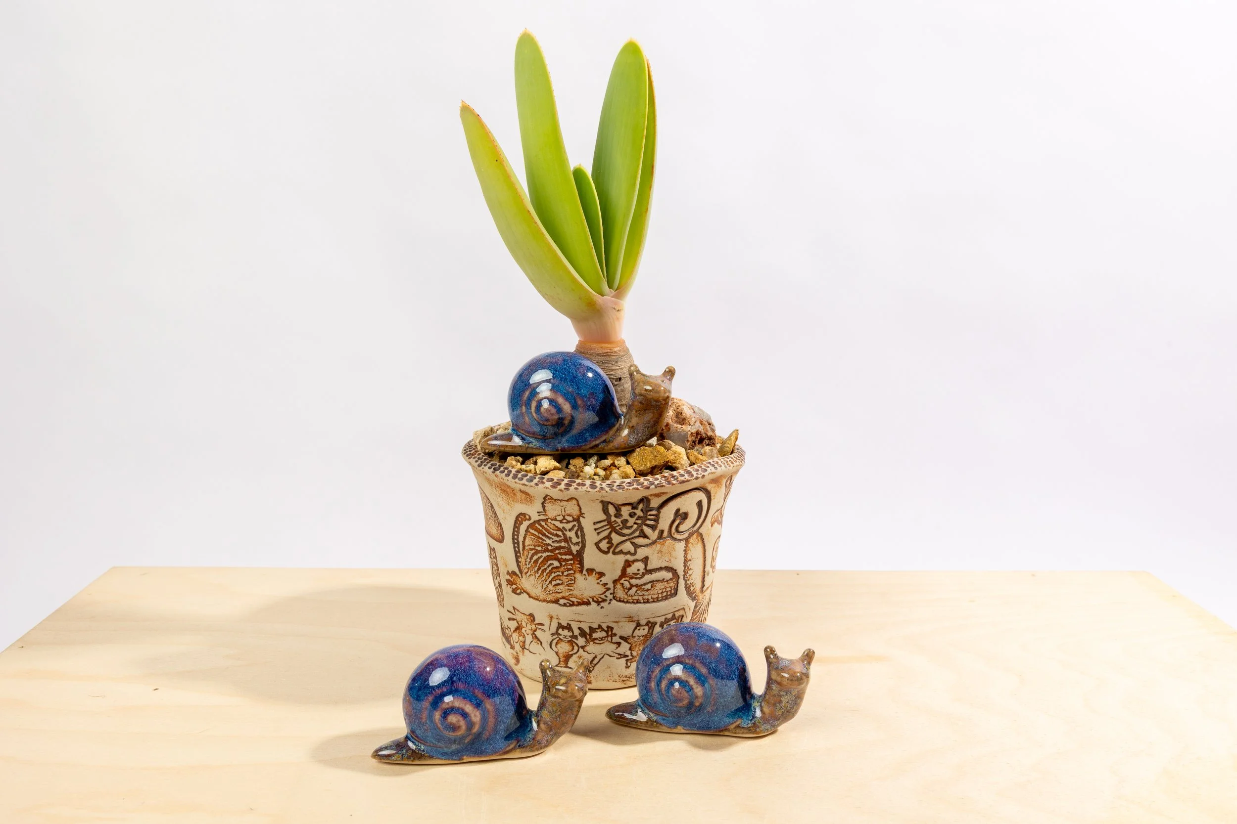 Pottery Apr 28-234.jpg