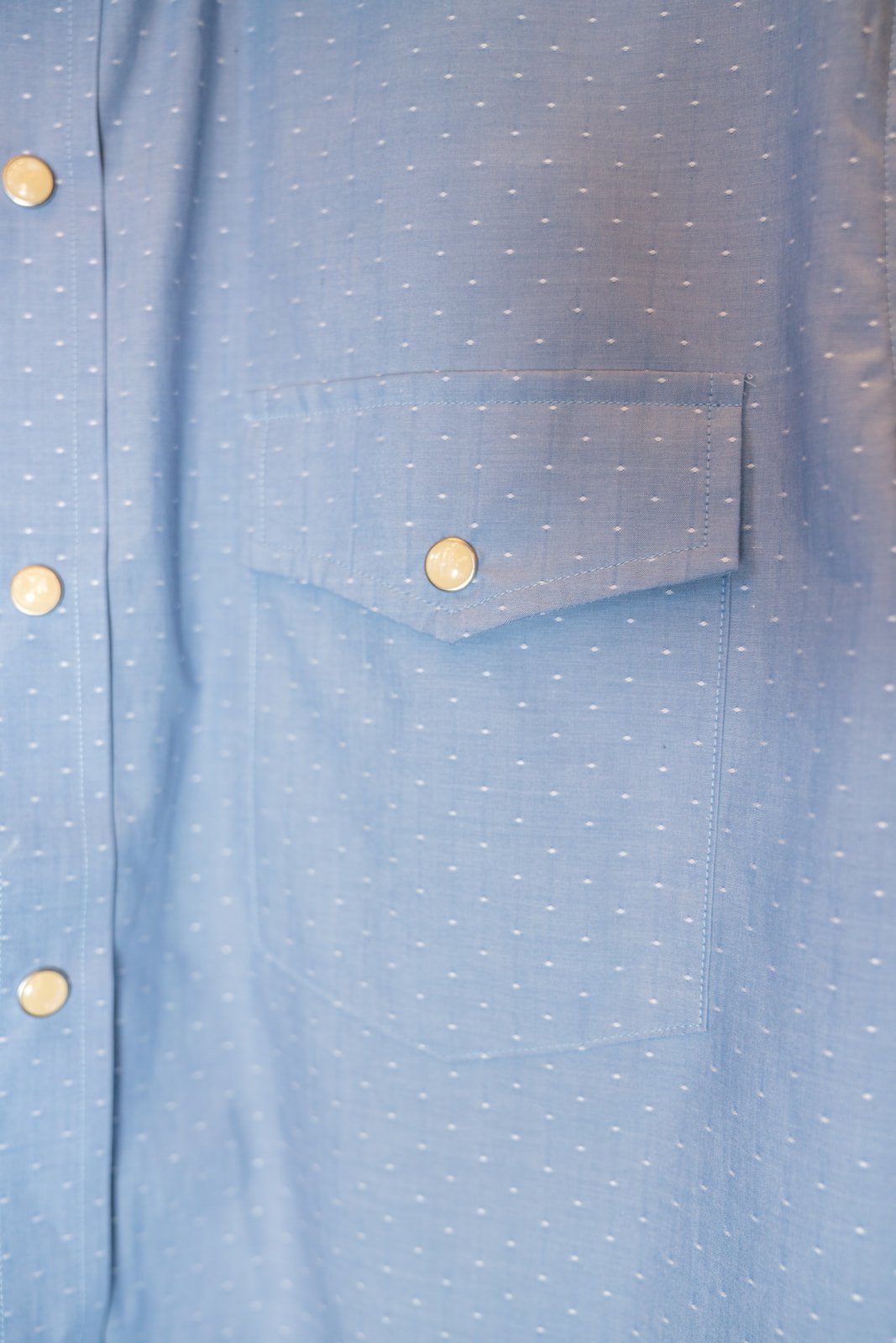 Buck Off SS Pearl Snap Shirt (Summer Chambray Dot)