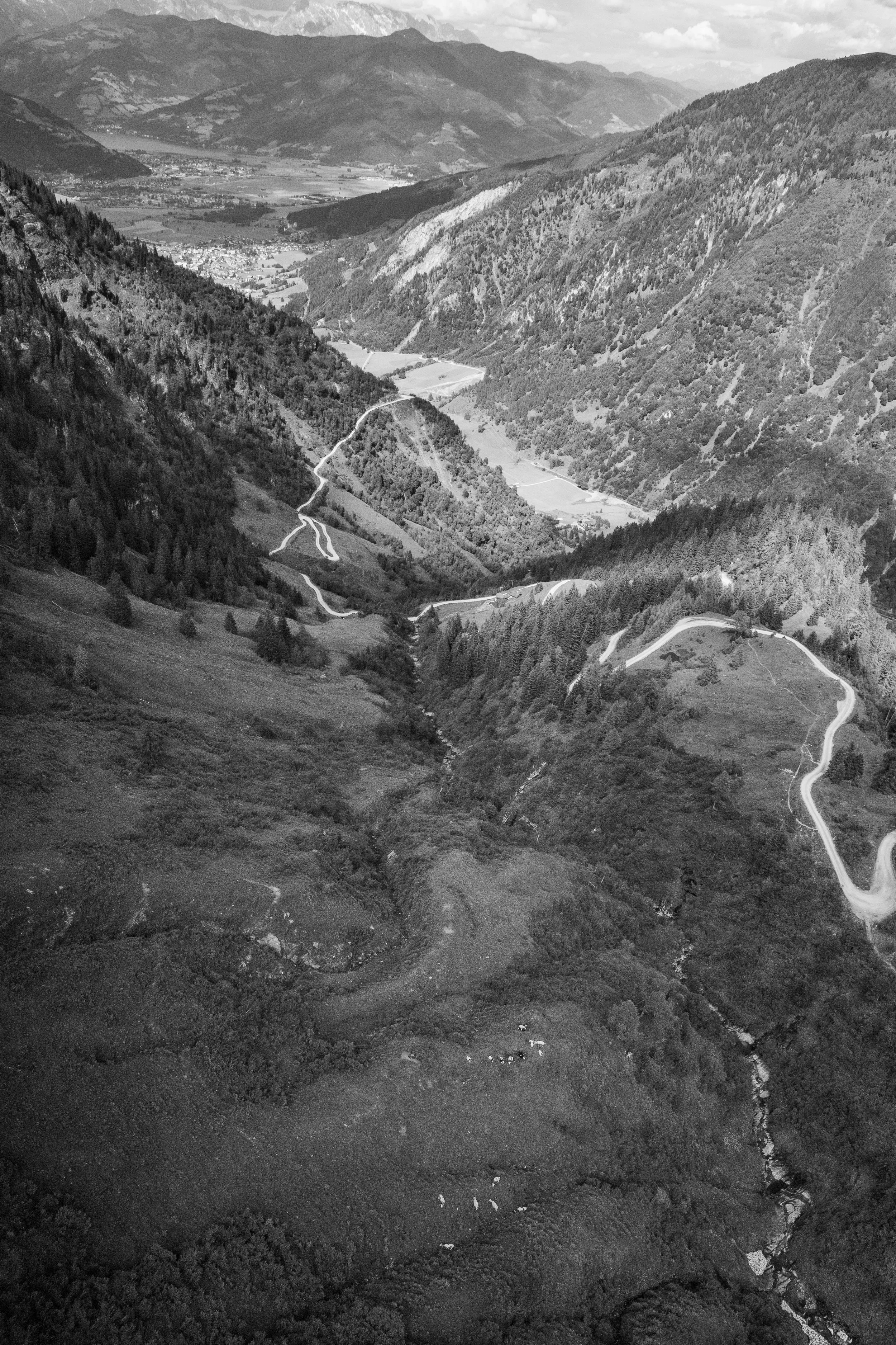 240626_austrian alps_14_Lilly Anderson_.jpg