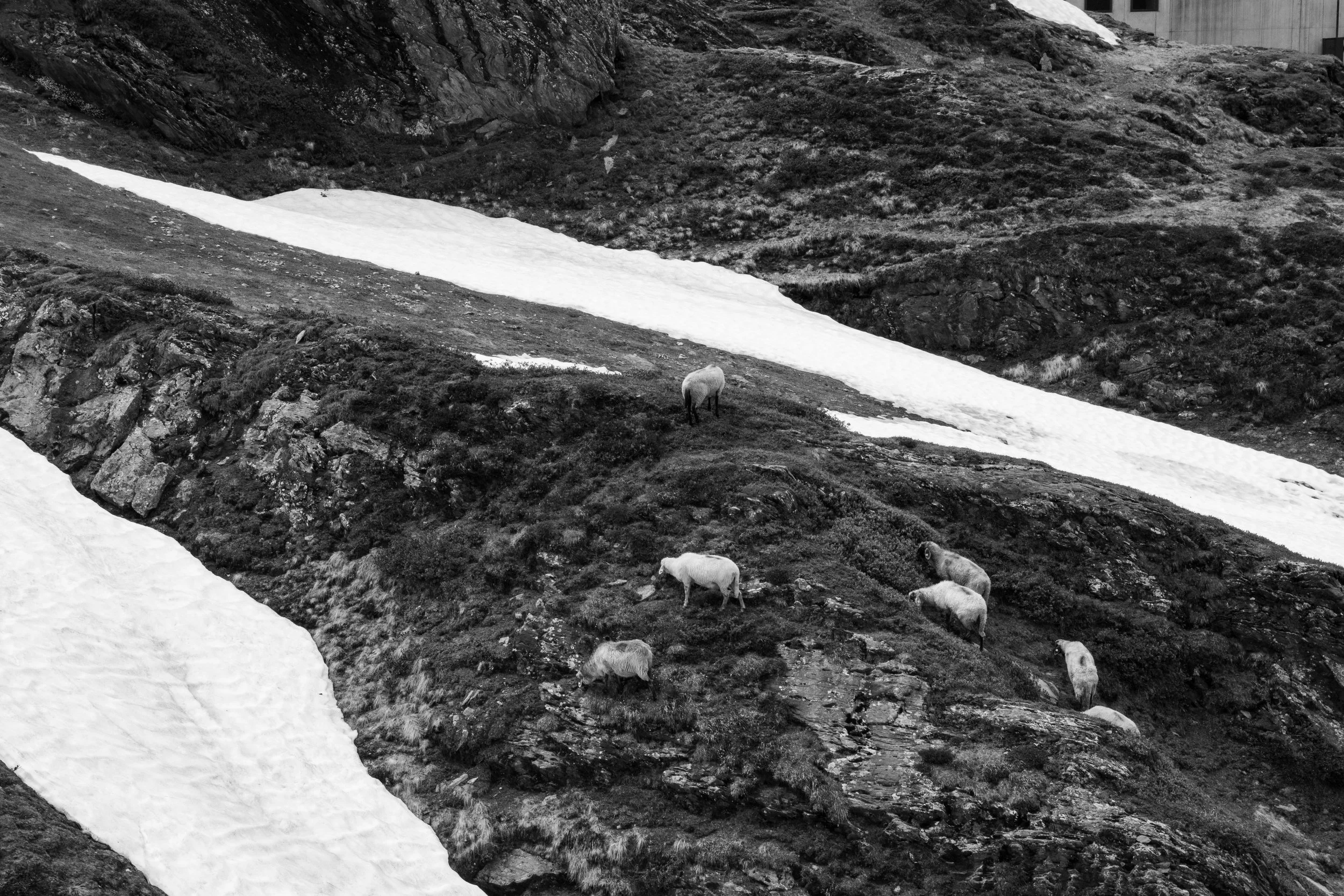 240626_austrian alps_13_Lilly Anderson_.jpg