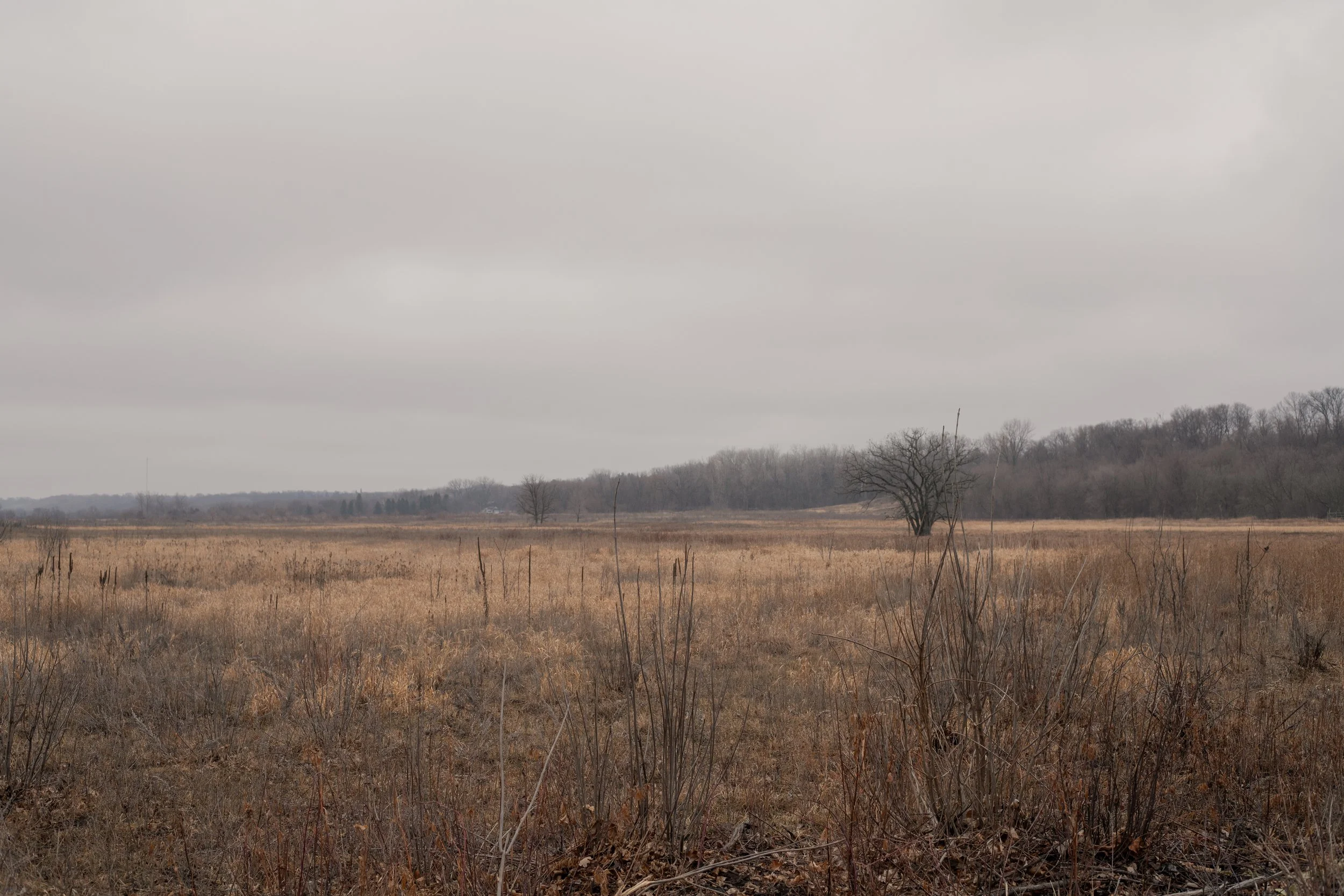 240126_minneopa state park_warm_Lilly A_1.jpg